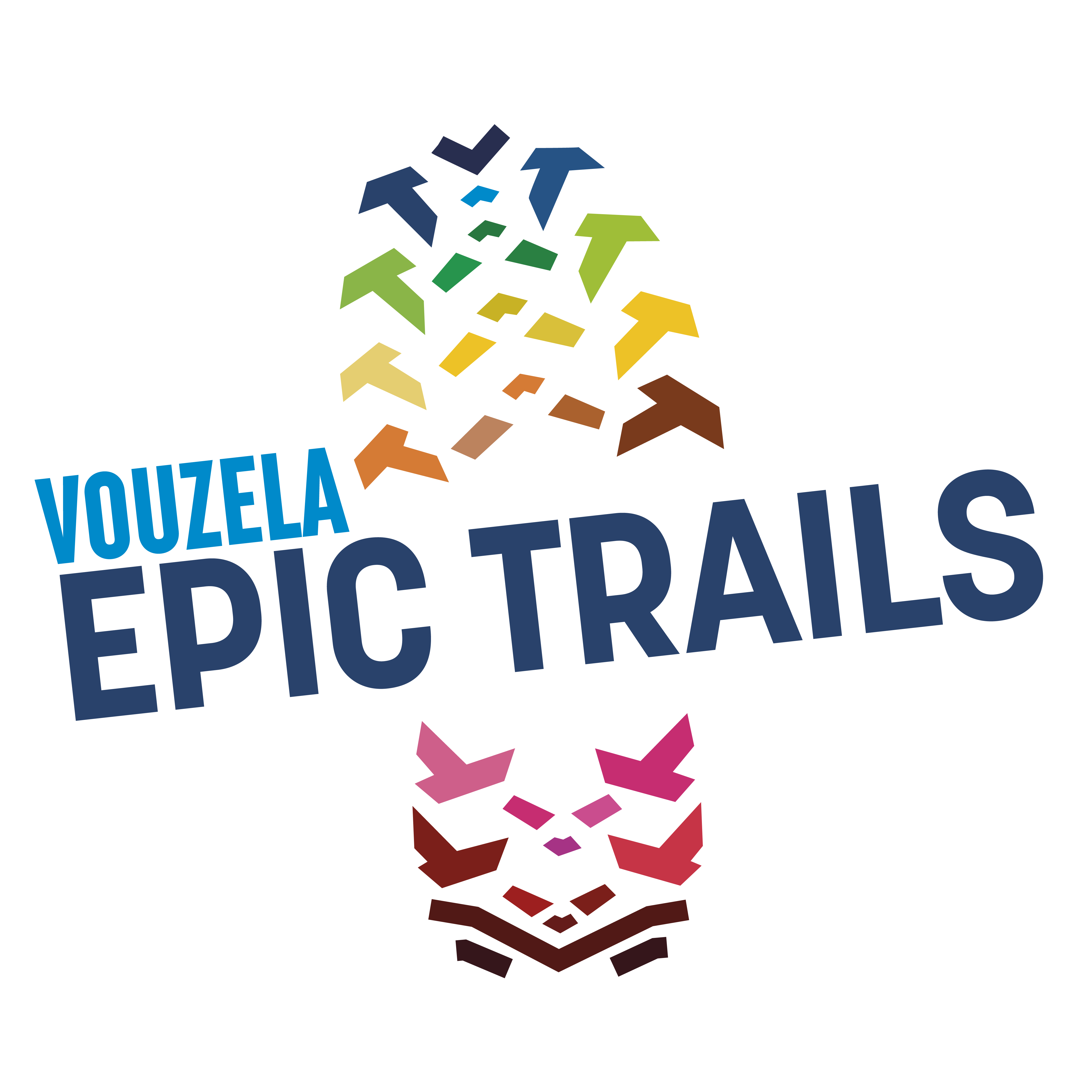 Logótipo de Vouzela Epic Trails