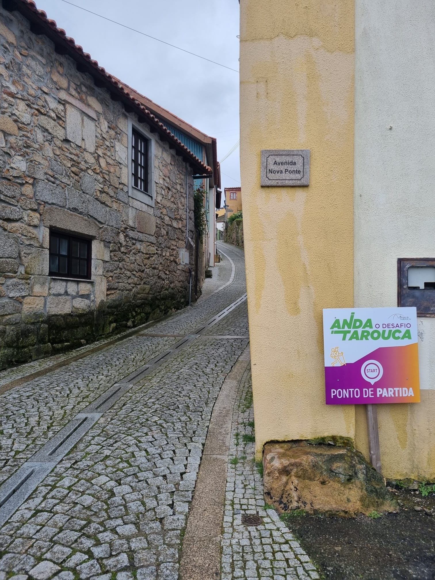 2º DESAFIO - ANDA TAROUCA - DALVARES image