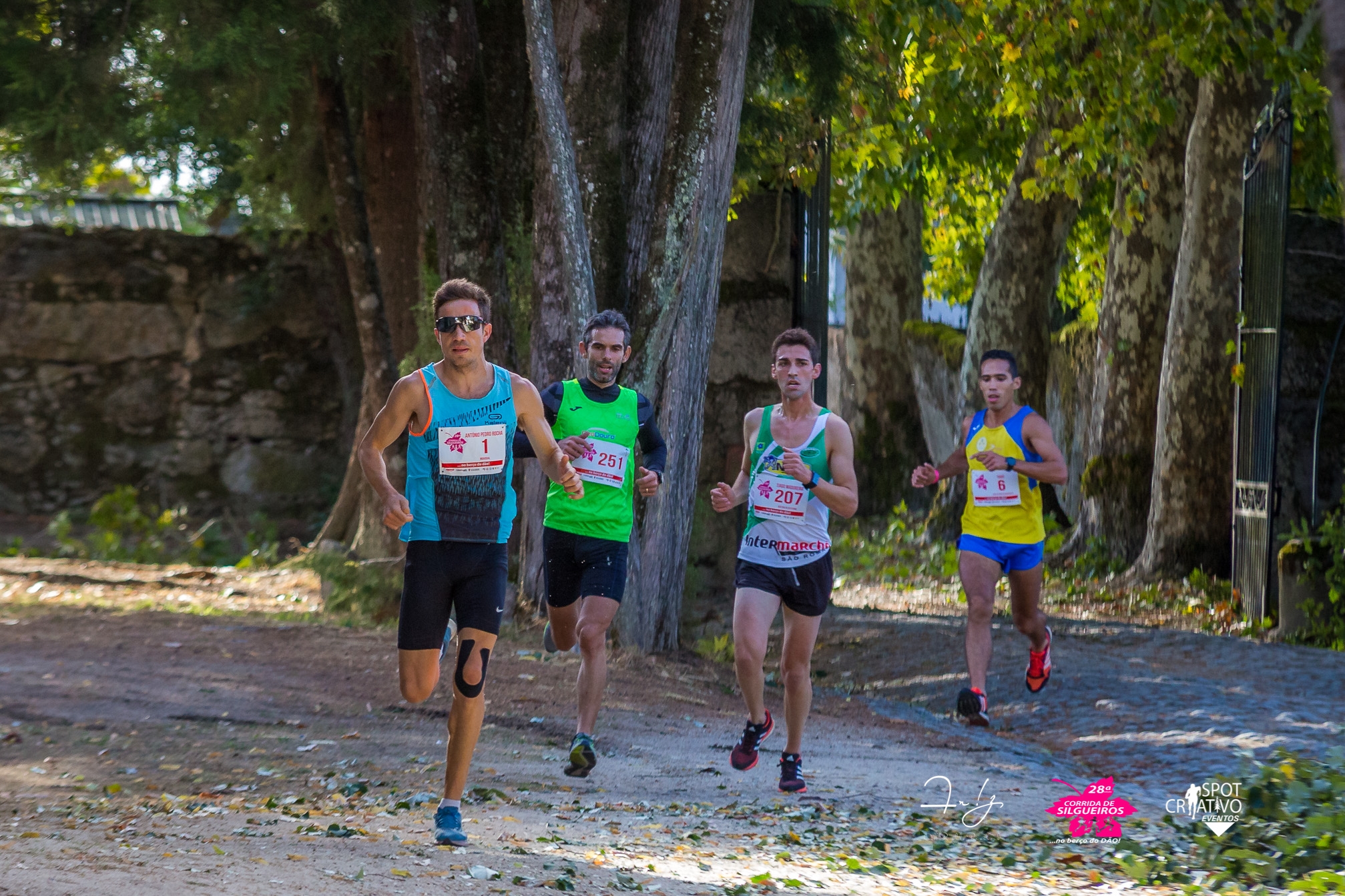 29ª CORRIDA DE SILGUEIROS image