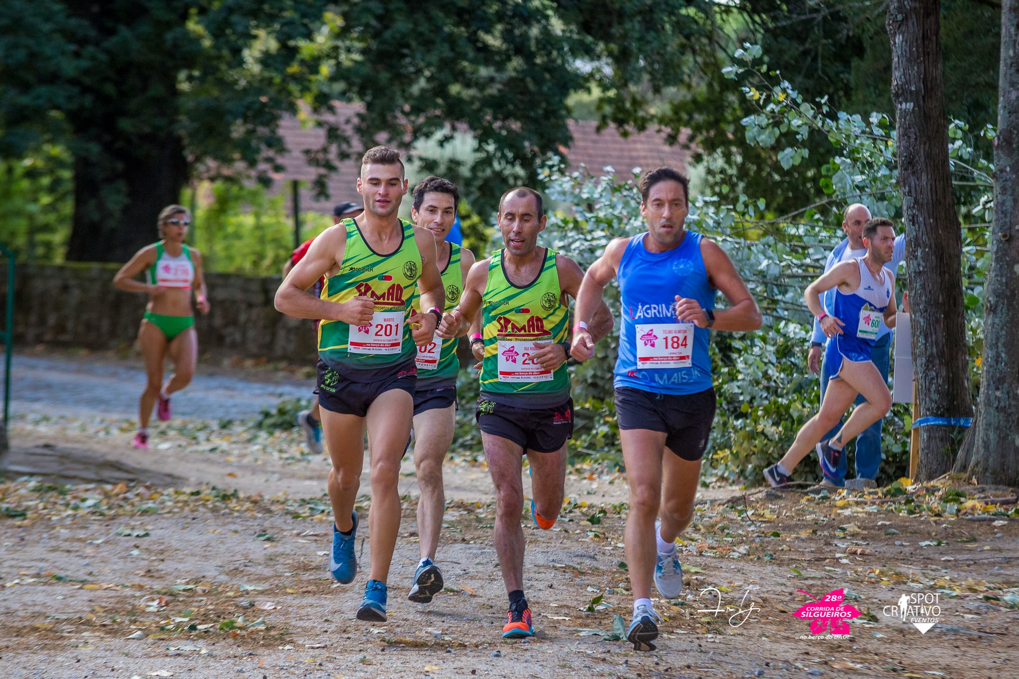 29ª CORRIDA DE SILGUEIROS image