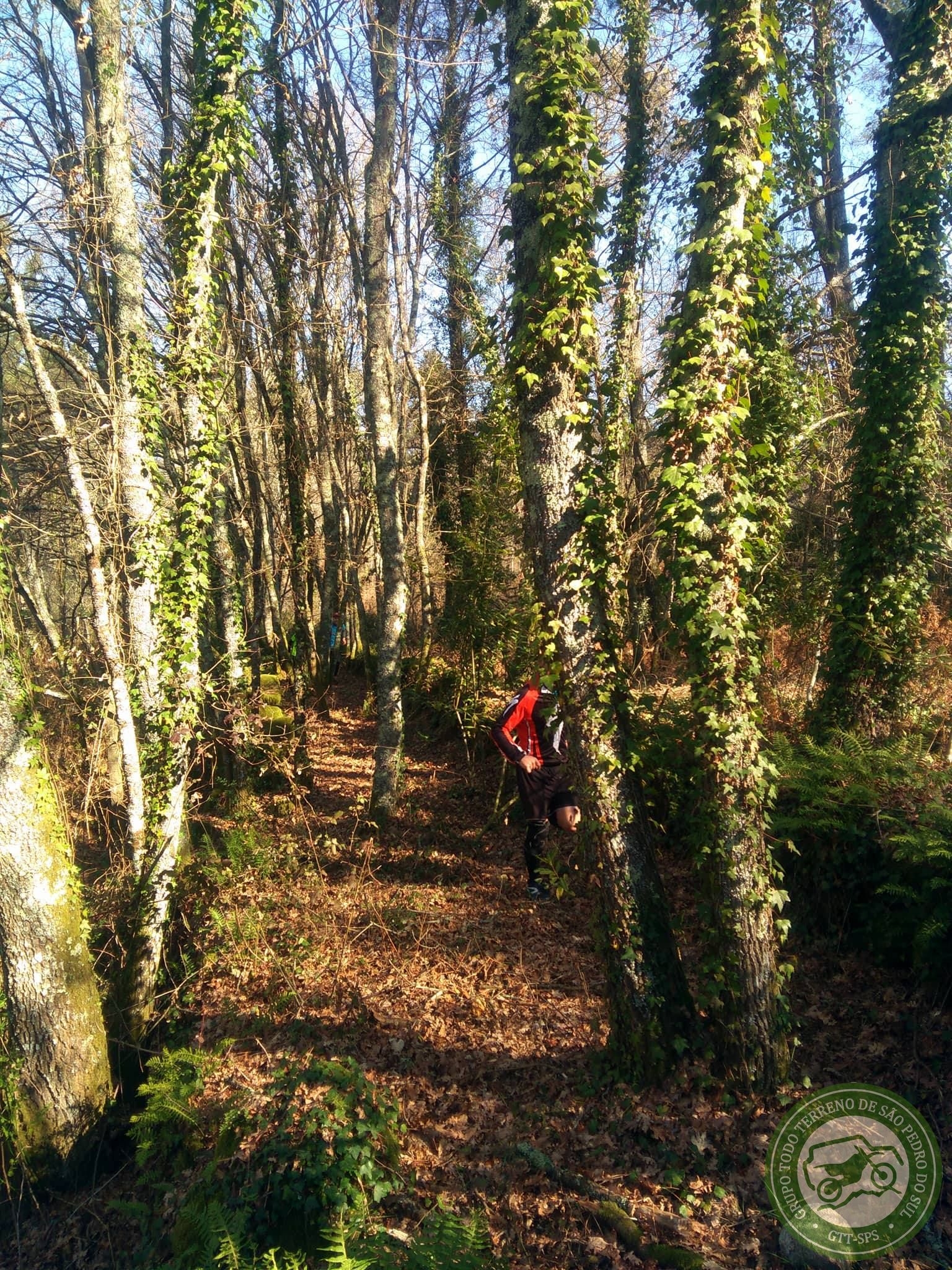 3º TRAIL NOTURNO SRª. DA GUIA image