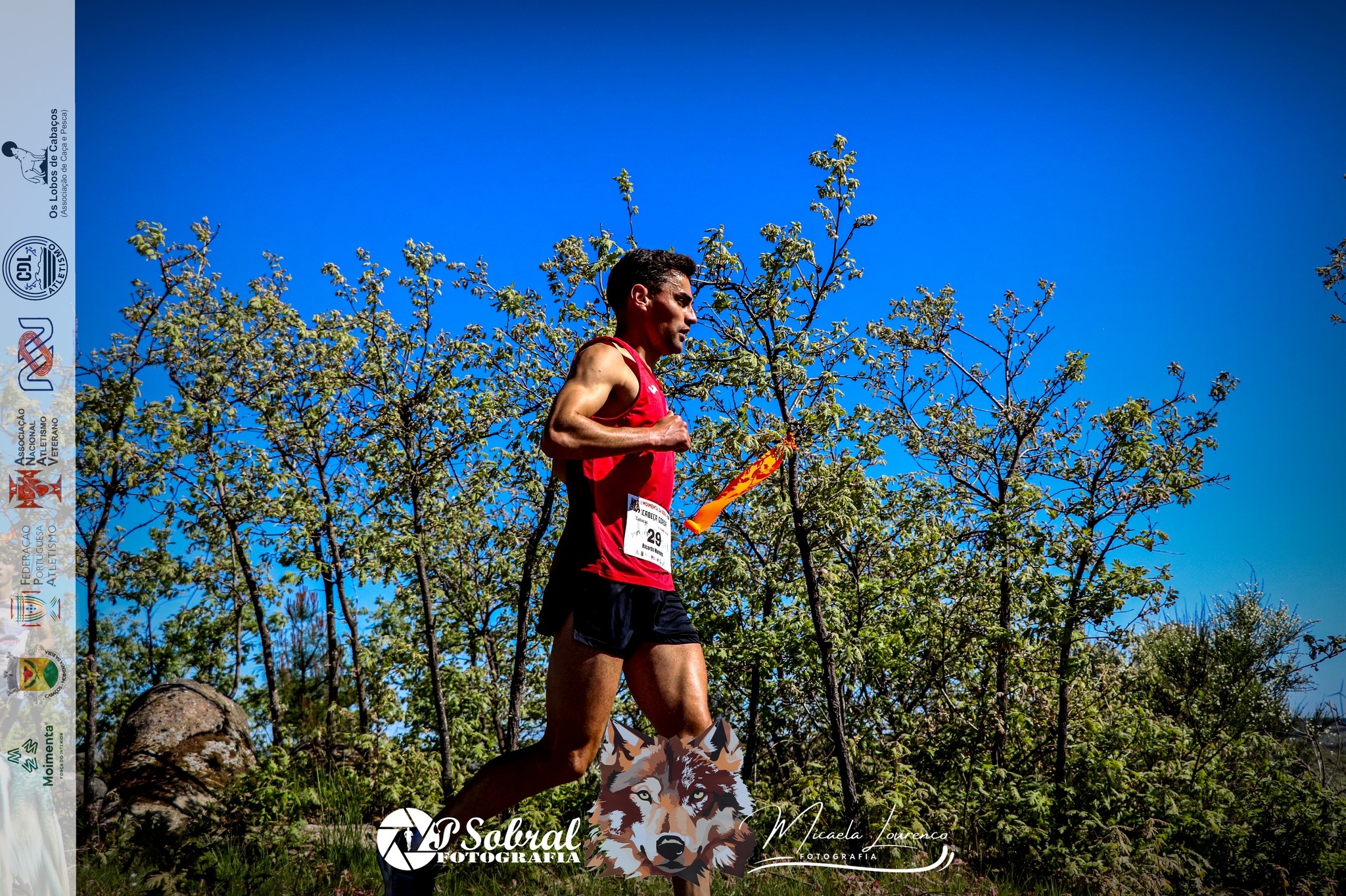 4.ª Moimenta da Beira Run - Rota da Cabeça Gorda image