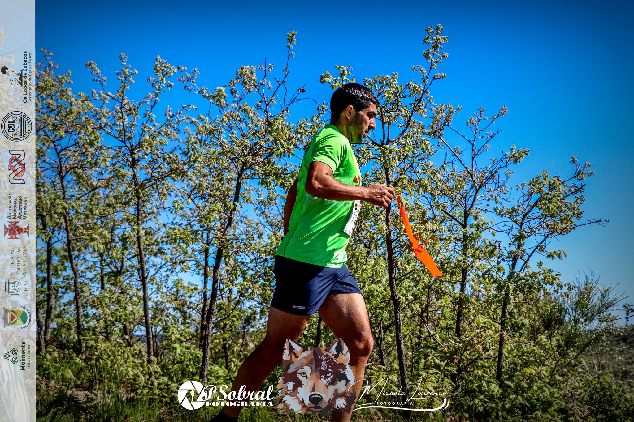 4.ª Moimenta da Beira Run - Rota da Cabeça Gorda image