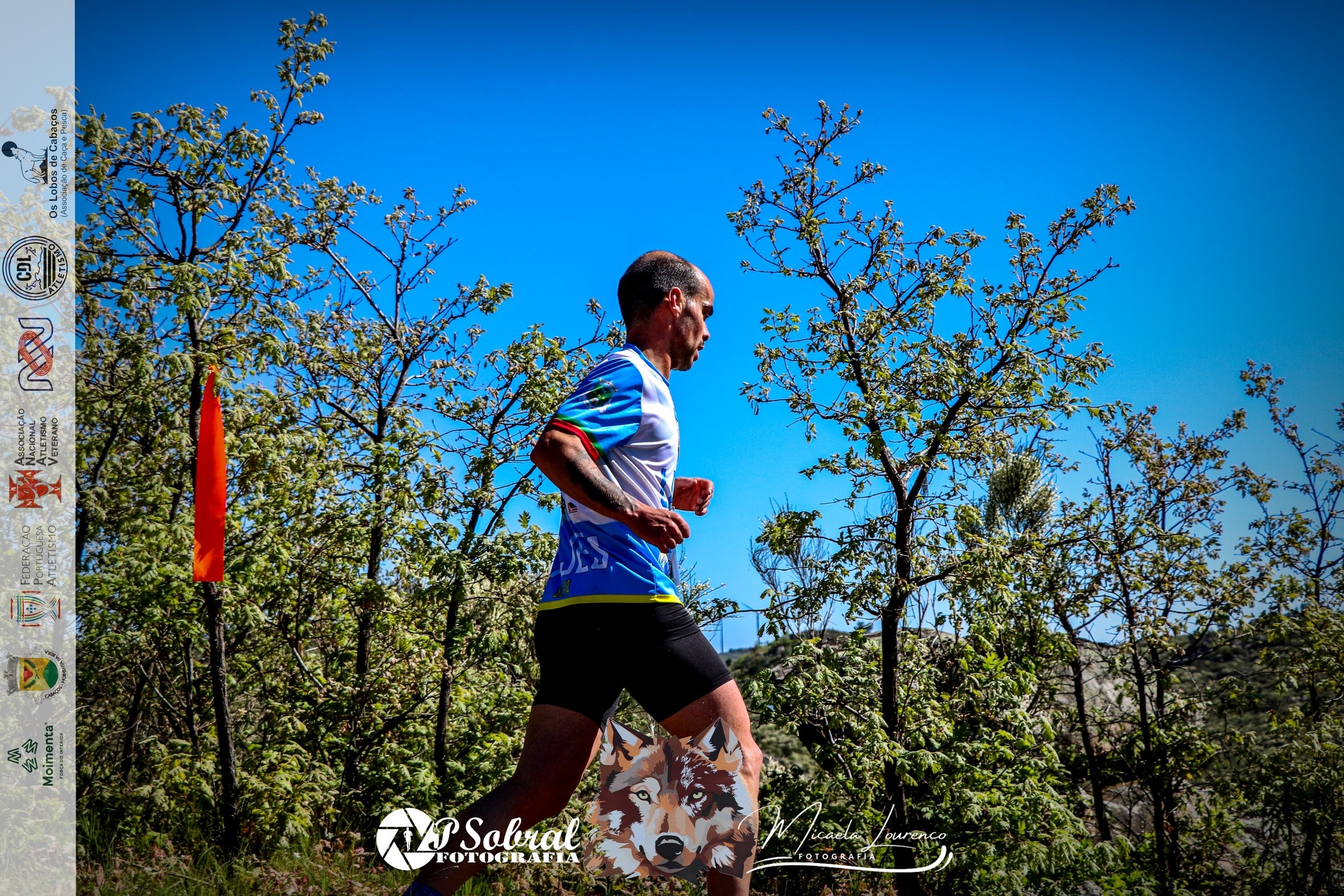 4.ª Moimenta da Beira Run - Rota da Cabeça Gorda image