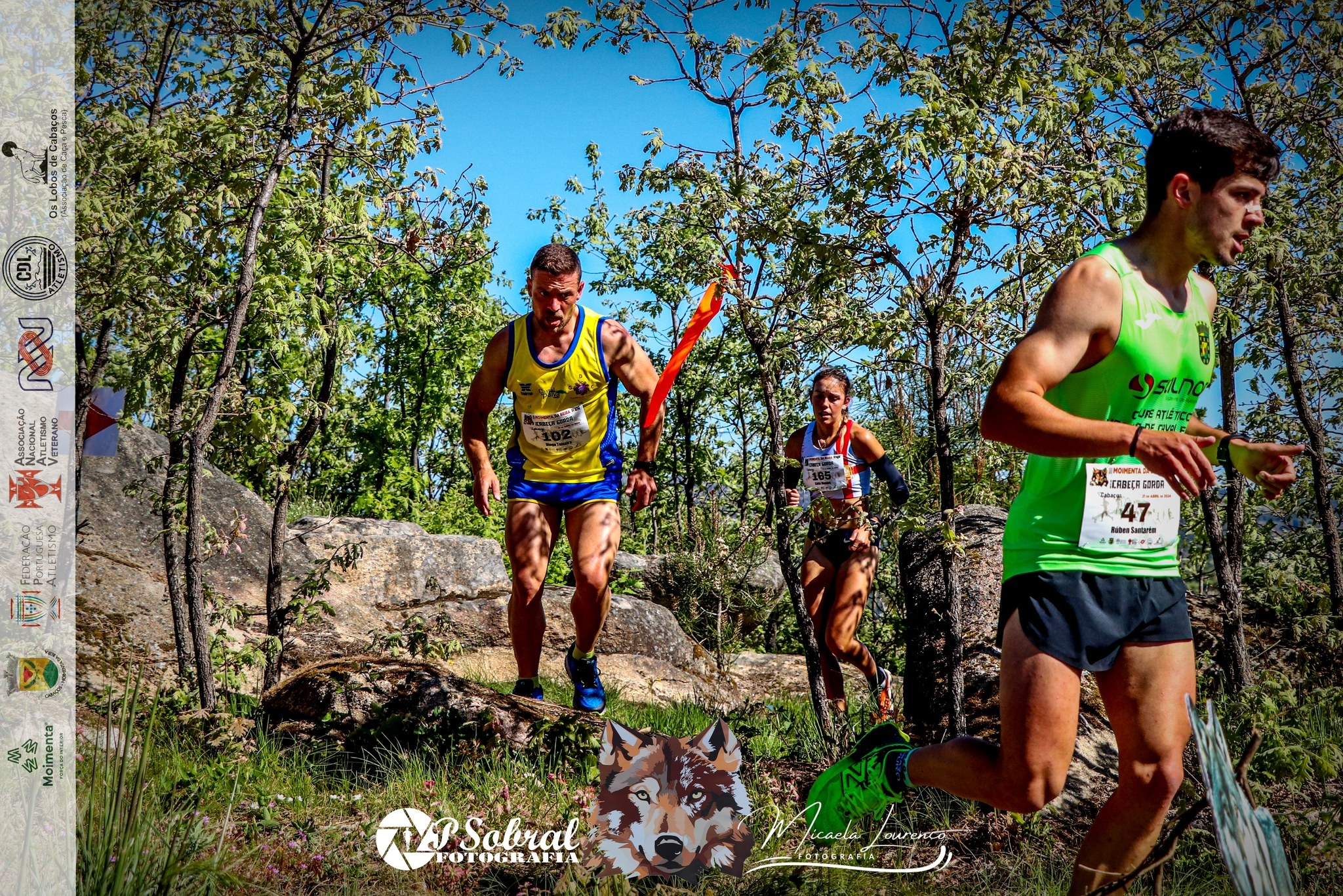 4.ª Moimenta da Beira Run - Rota da Cabeça Gorda image