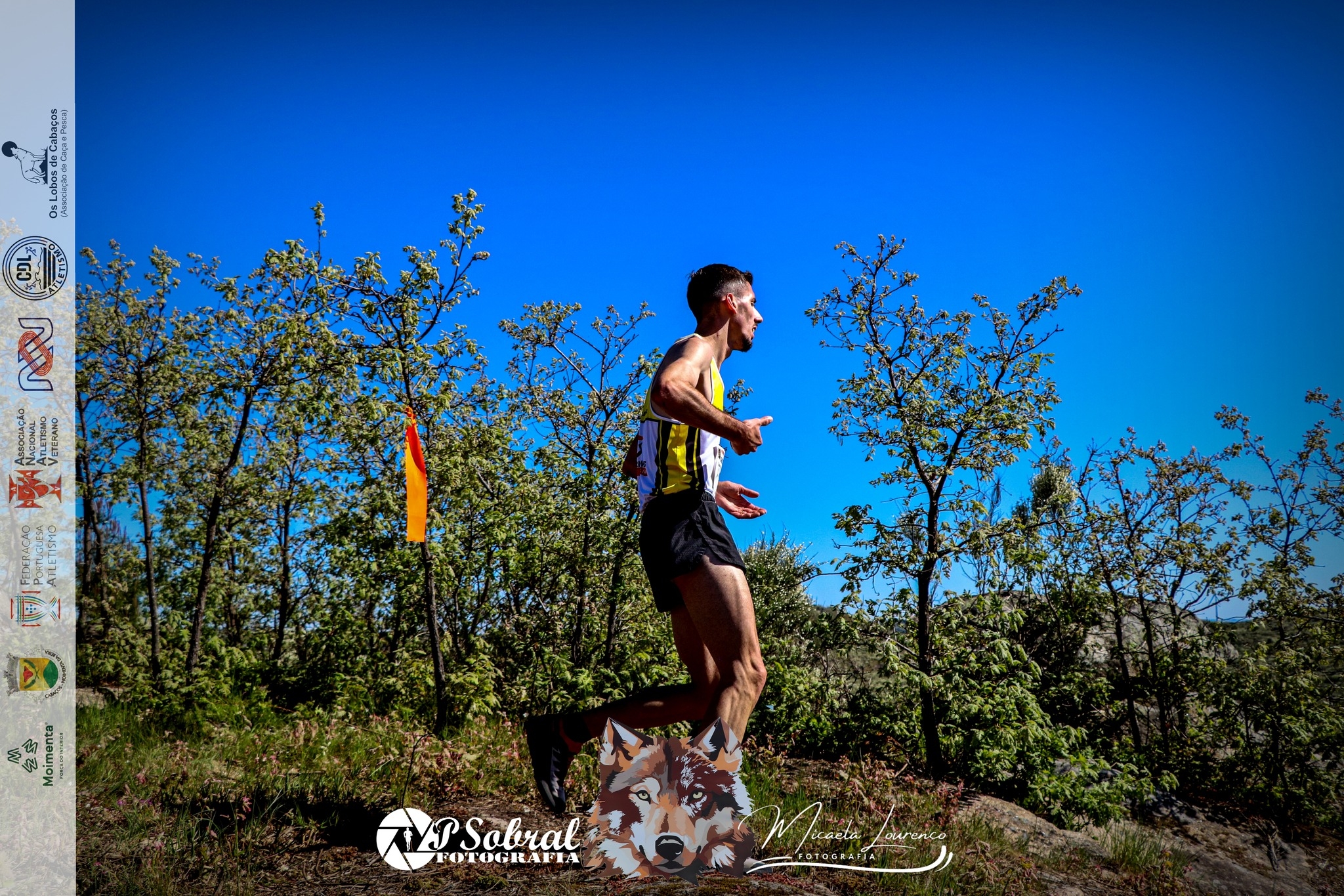 4.ª Moimenta da Beira Run - Rota da Cabeça Gorda image