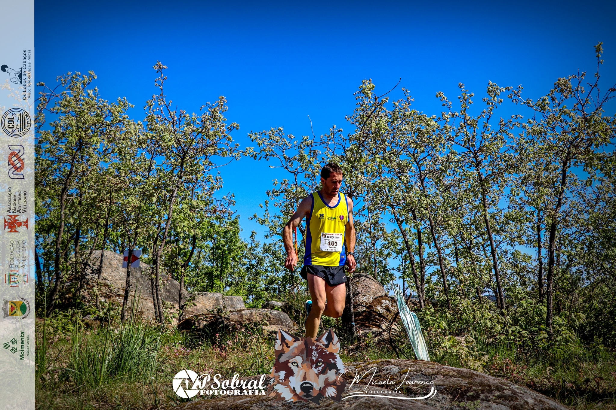 4.ª Moimenta da Beira Run - Rota da Cabeça Gorda image