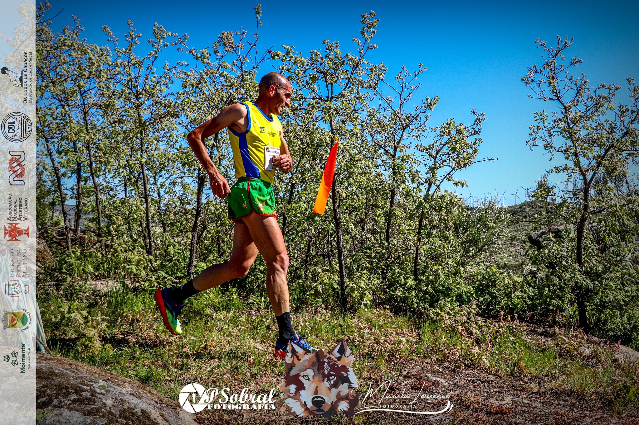 4.ª Moimenta da Beira Run - Rota da Cabeça Gorda image