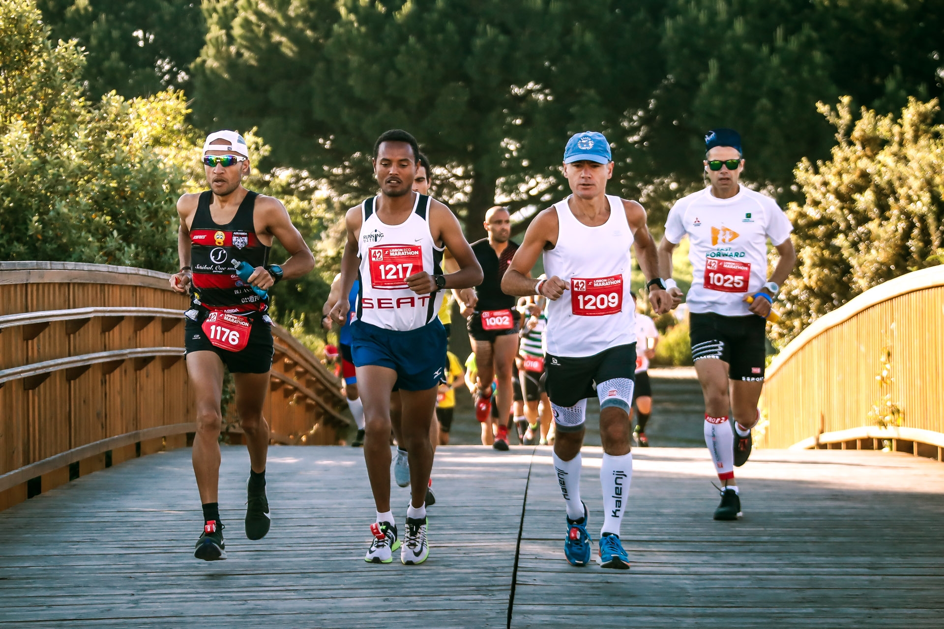 LISBON ECO MARATHON 2023 image