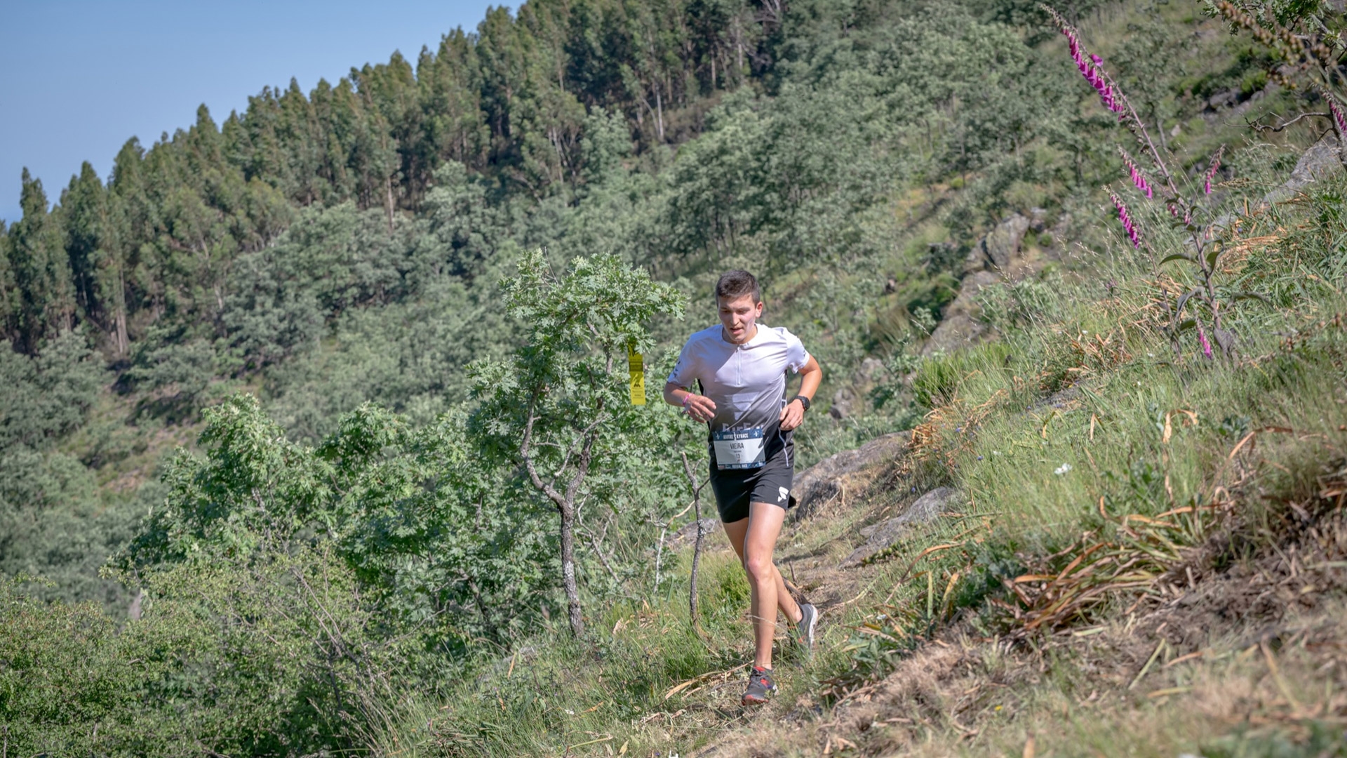 Abutres SkyRace® 2025 image