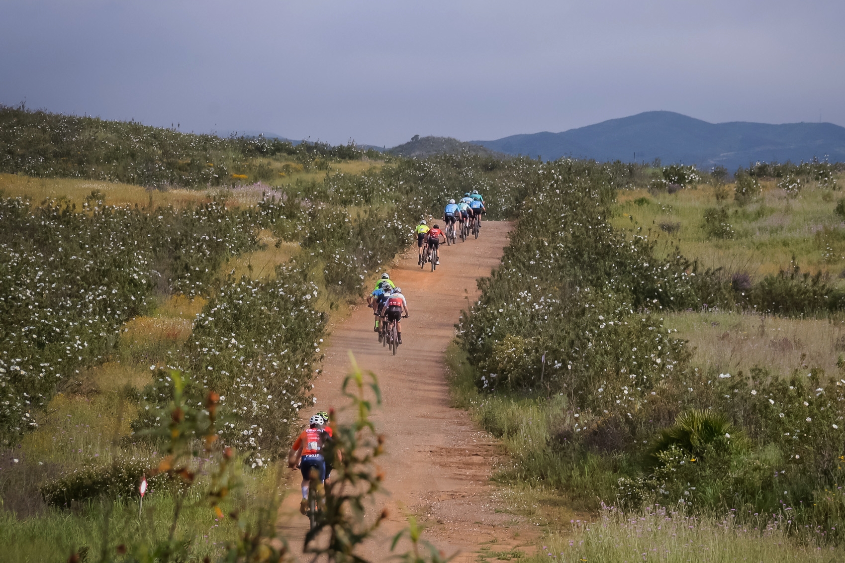 Algarve Bike Challenge 2026 image