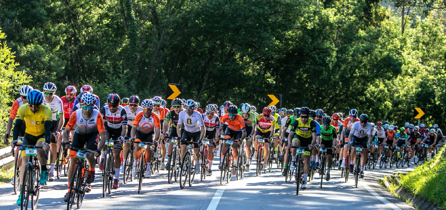 AMARANTE GRANFONDO 2024 image