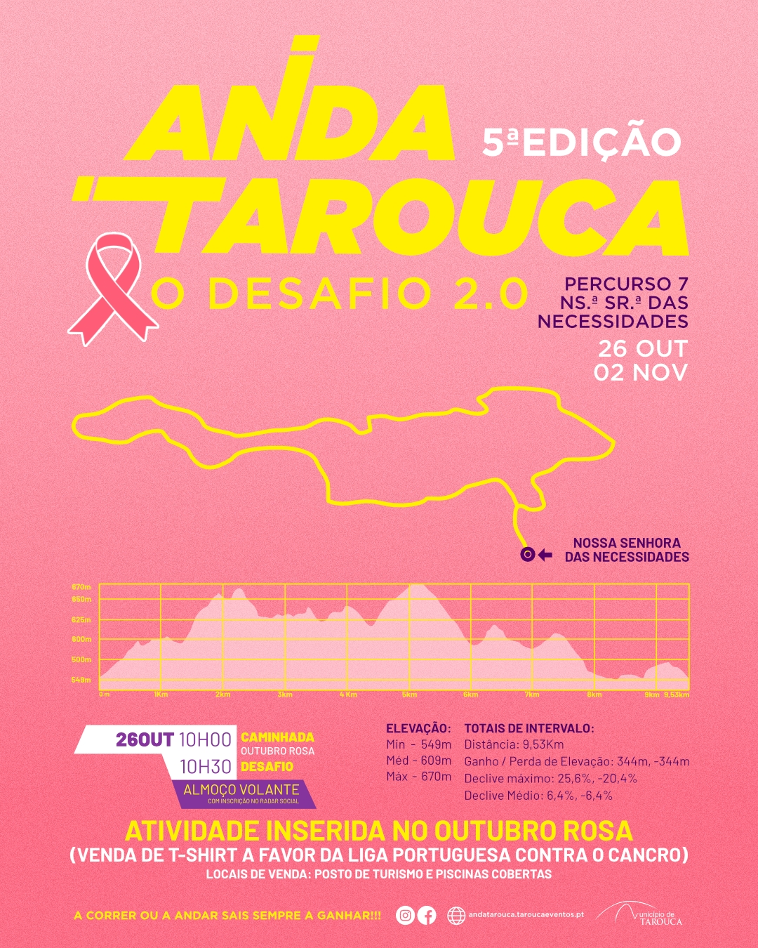 Anda Tarouca Senhora das necessidade 2025 image