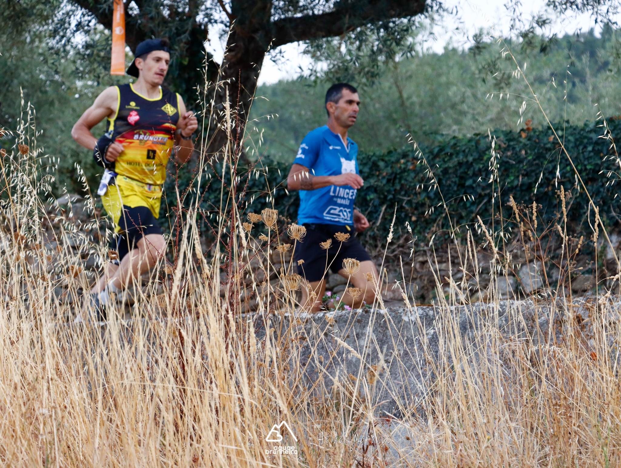 AQUAE BRUNHEIRO TRAIL RUNNING 2026 image