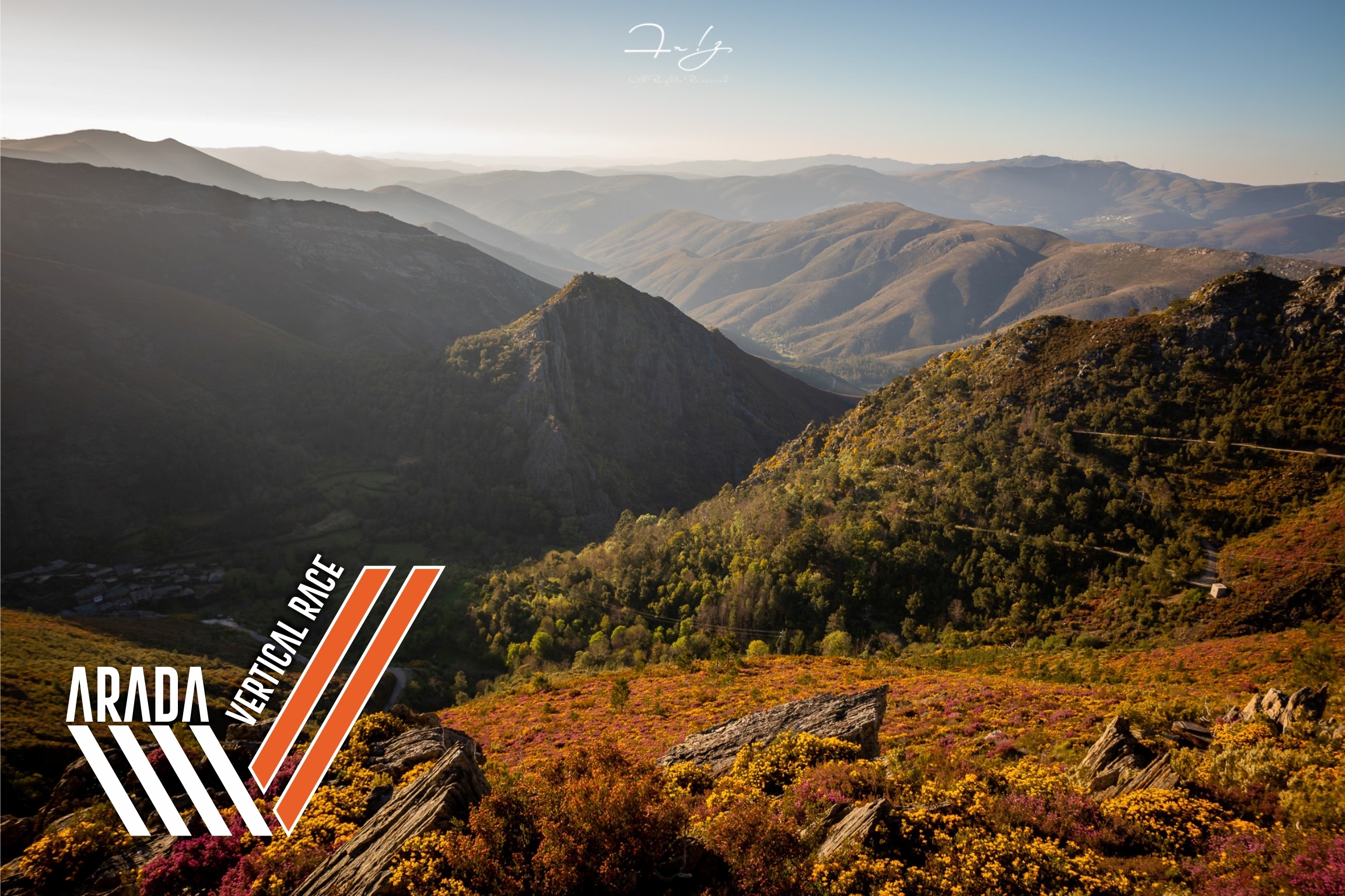 ARADA VERTICAL RACE image