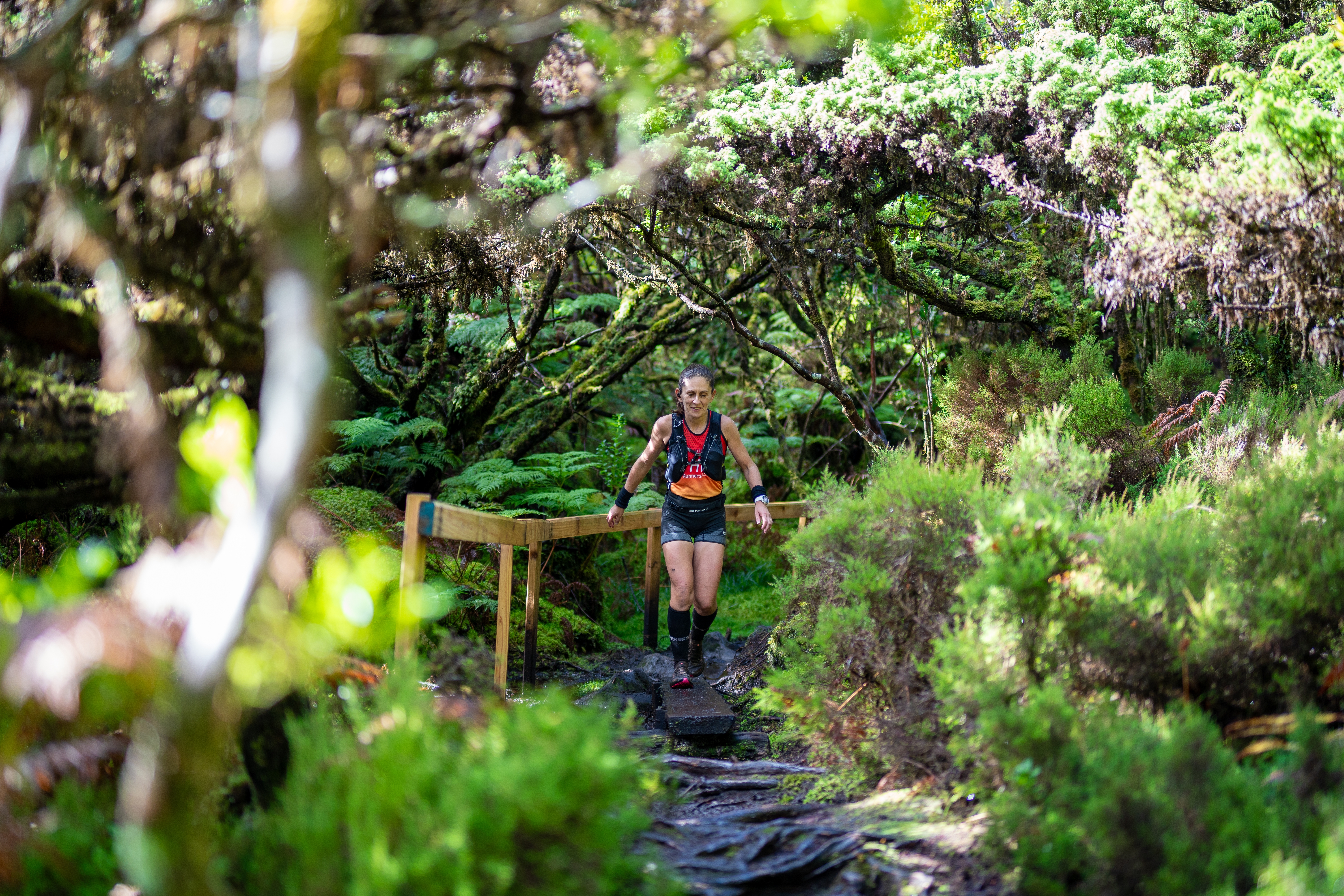 Azores Bravos Trail 2025 image