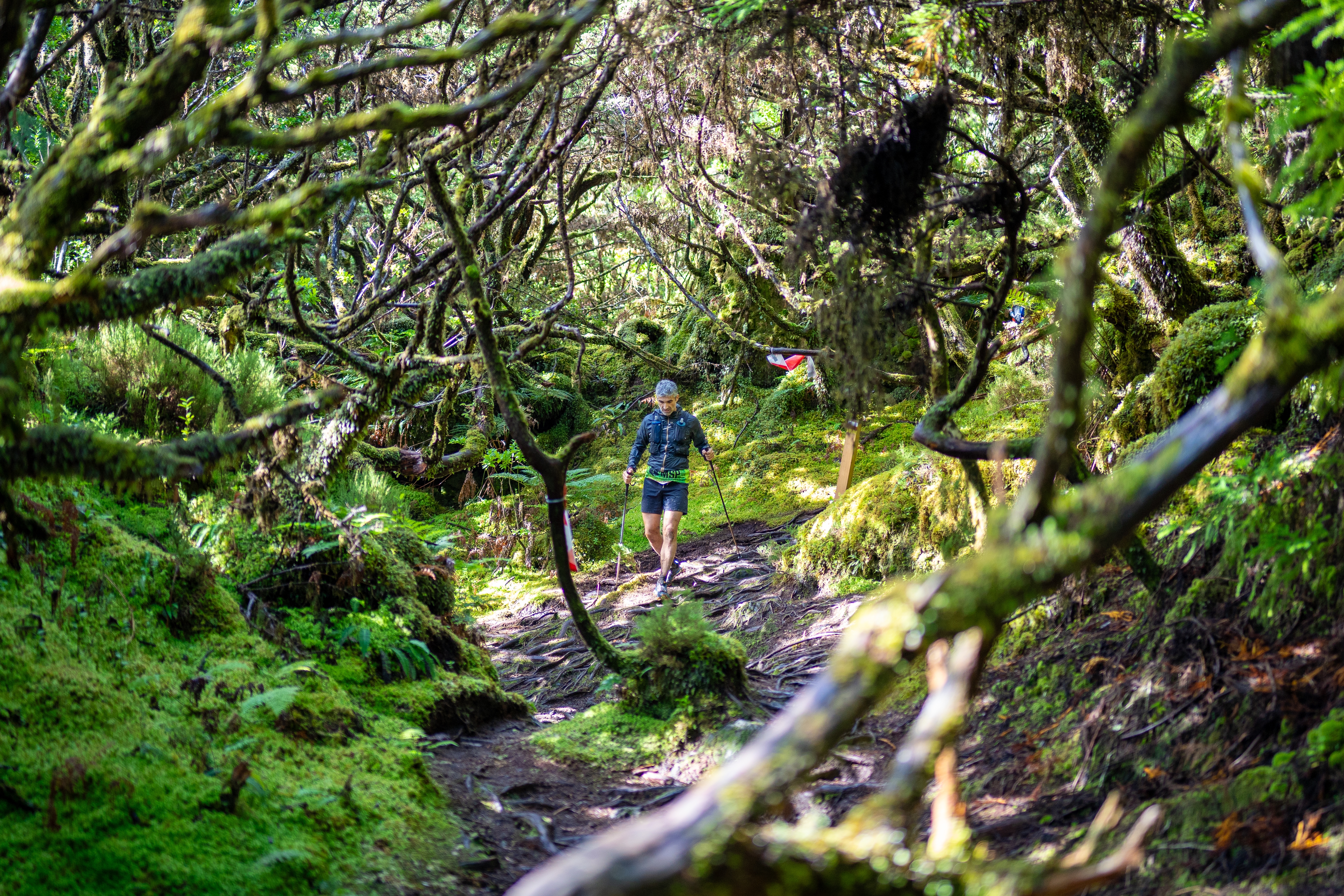 Azores Bravos Trail 2025 image