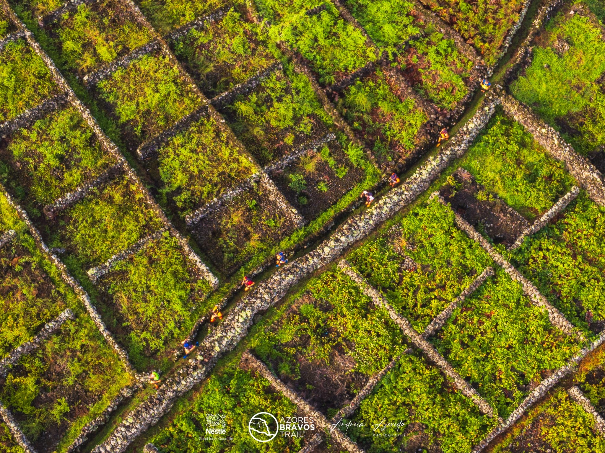 Azores Bravos Trail 2025 image