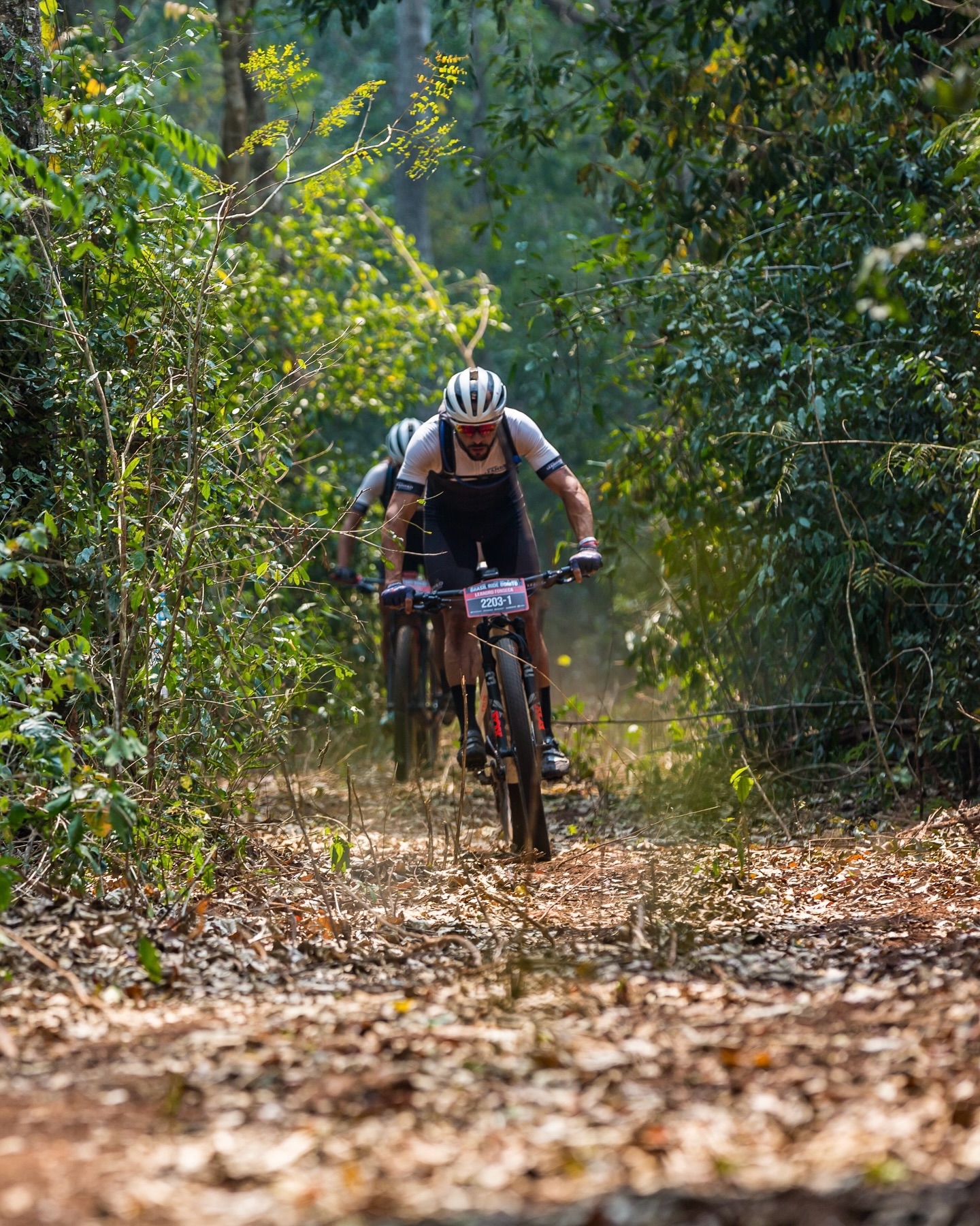 Brasil Ride Bonito 2024 image
