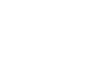 Logo of 
