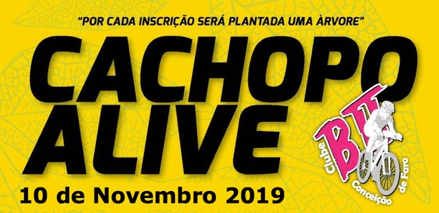 Cachopo Alive 2019 image