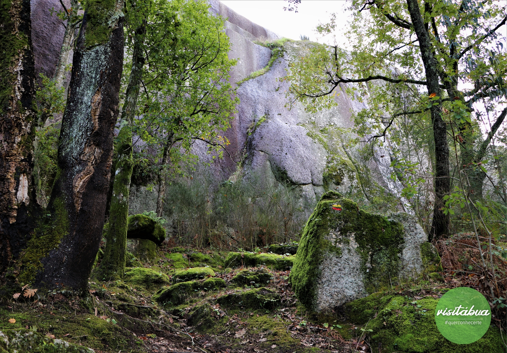 Caminhada de Outono image