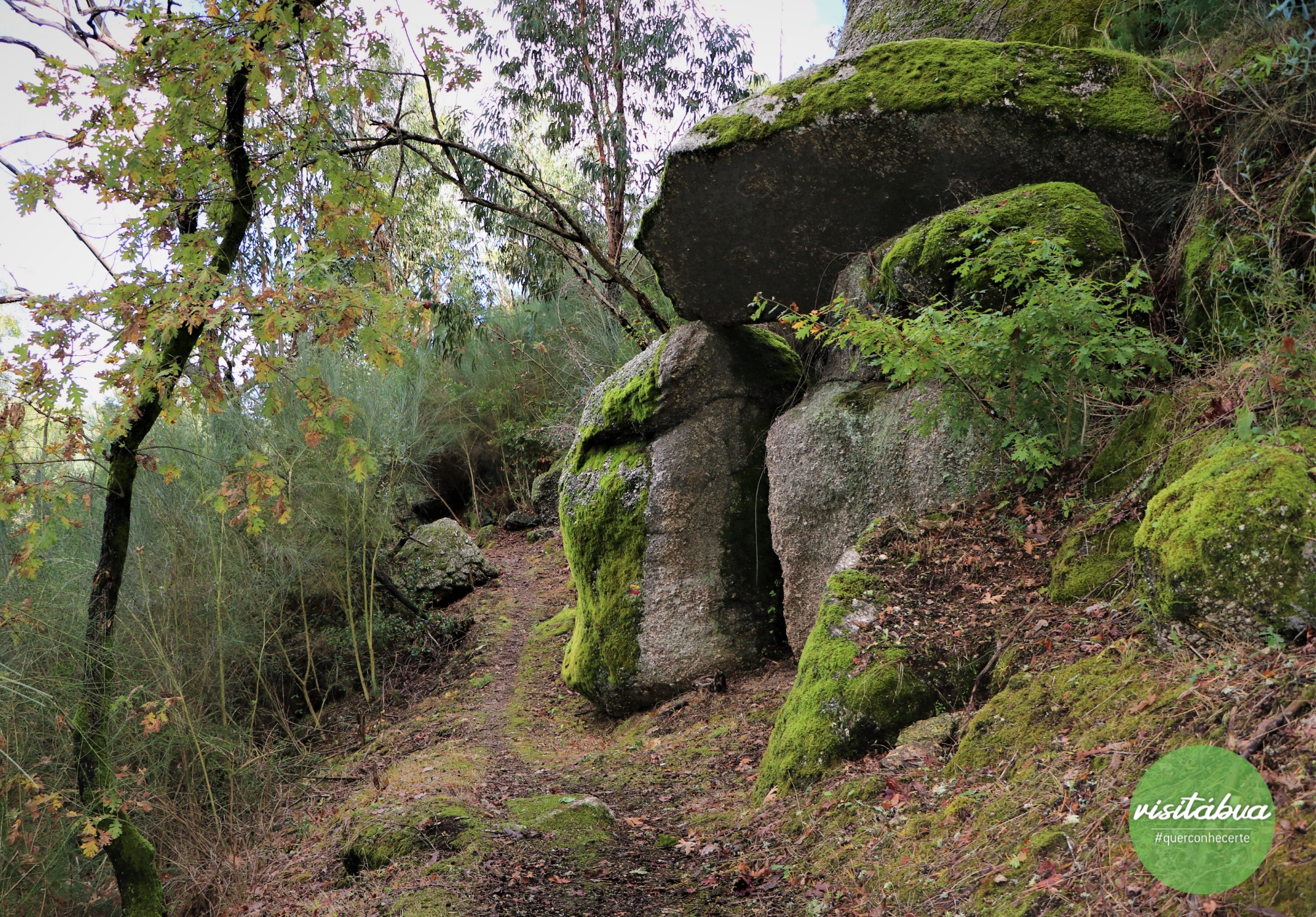 Caminhada de Outono image