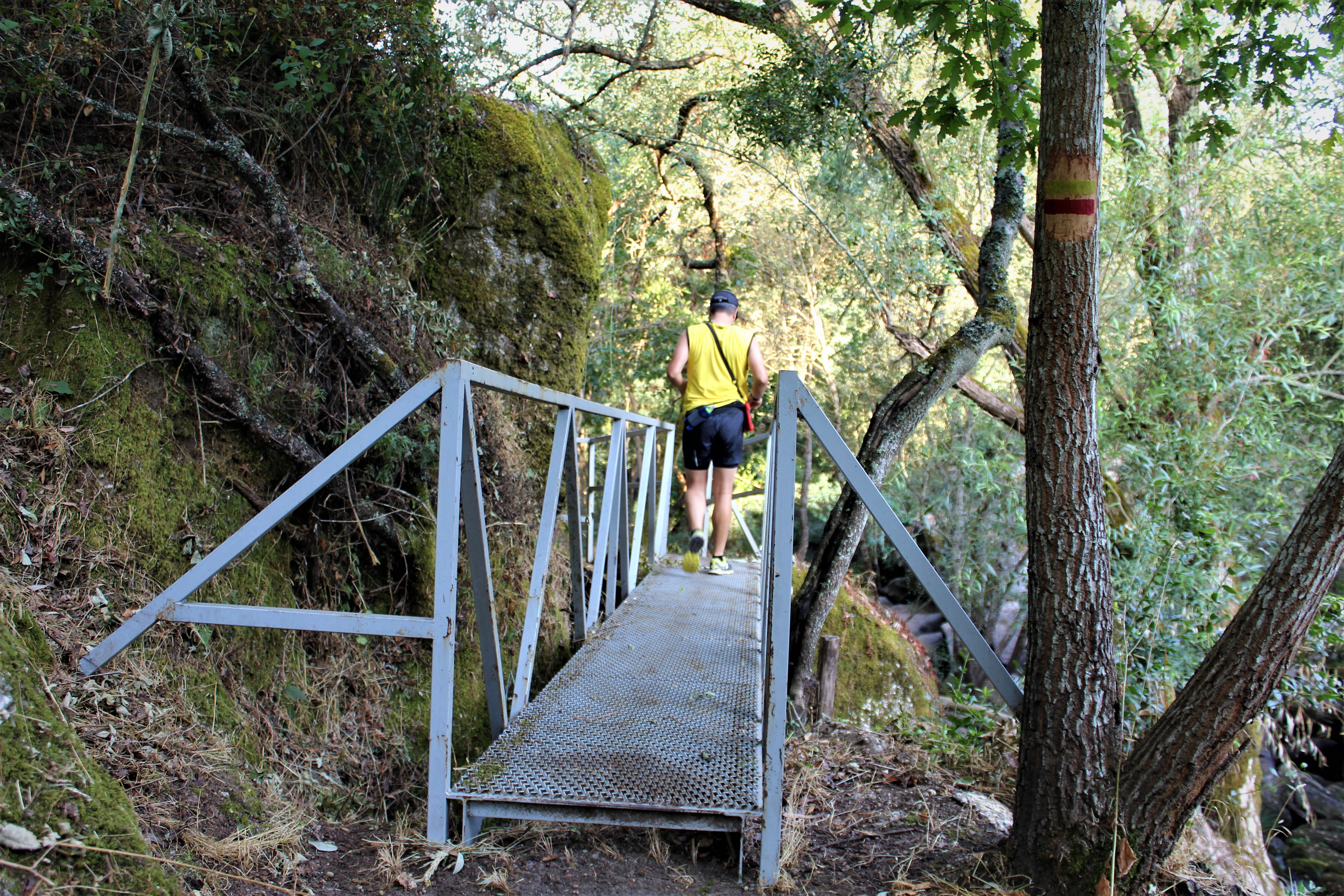 Caminhada de Outono image