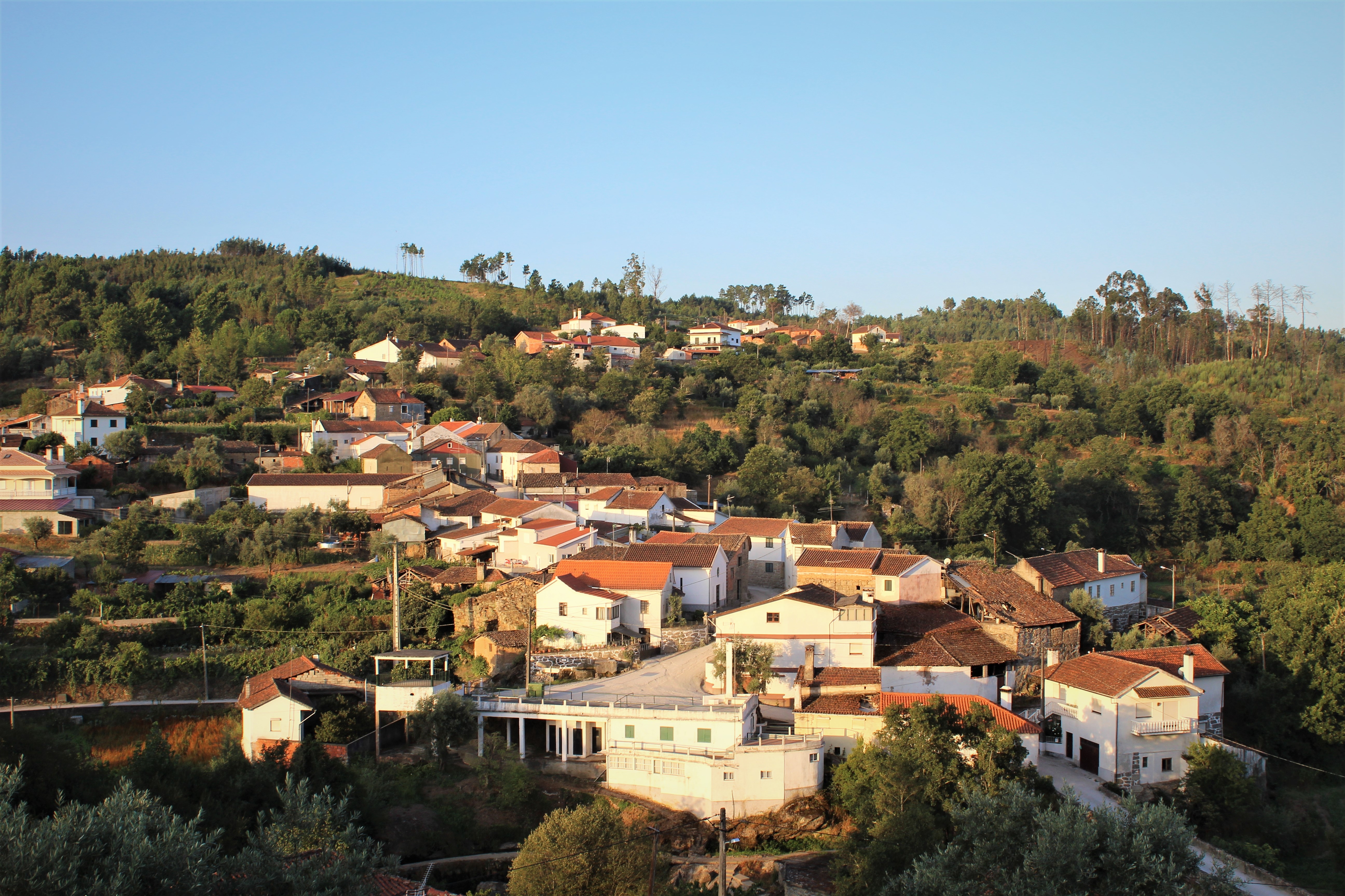 Caminhada de Outono image