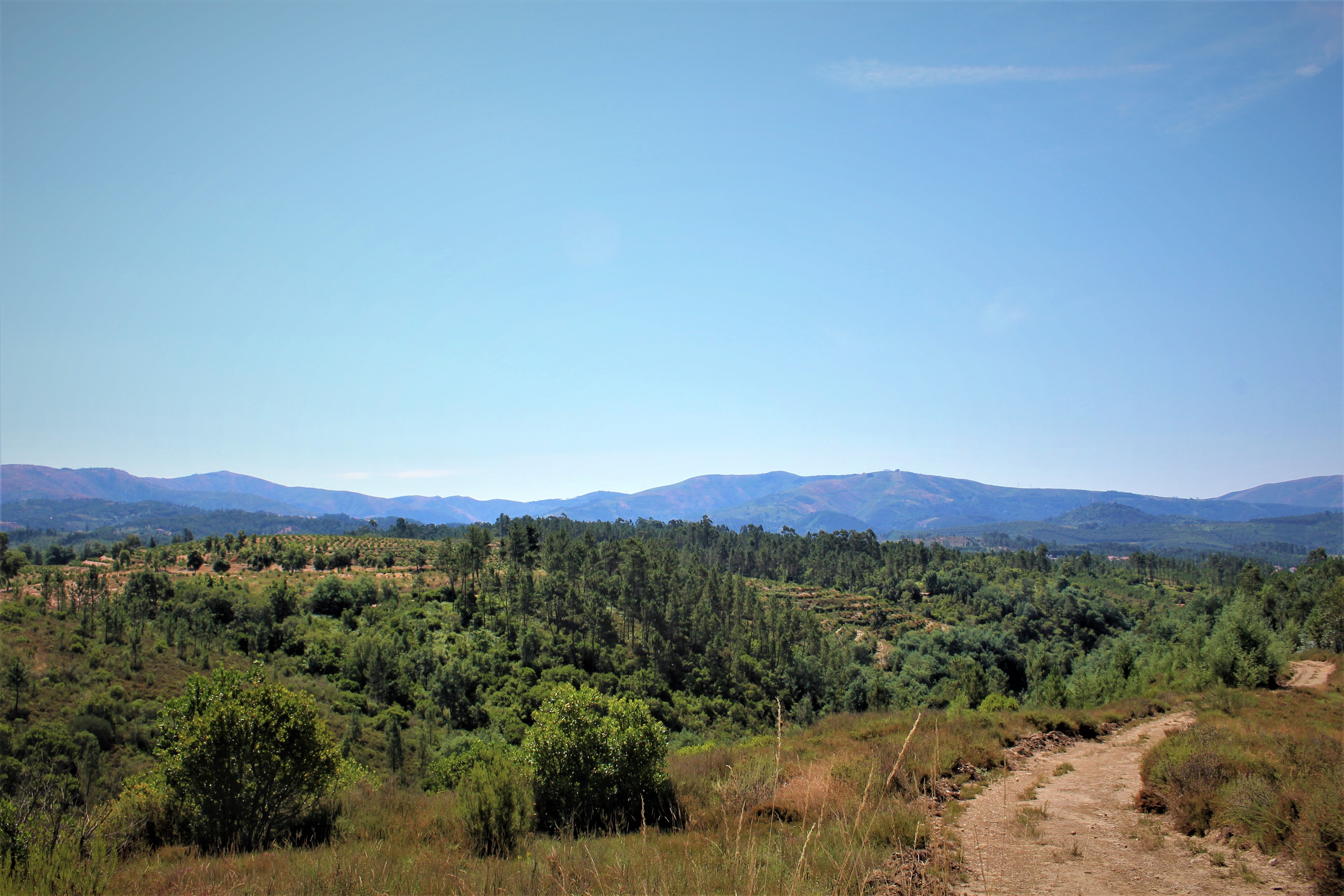 Caminhada Natureza - Rota do Cadoiceiro image