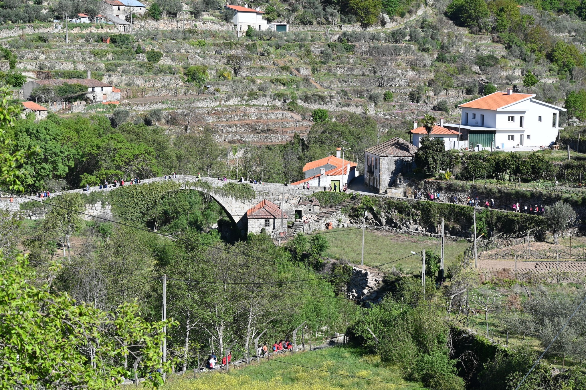 Caminho dos Monges 2024 image