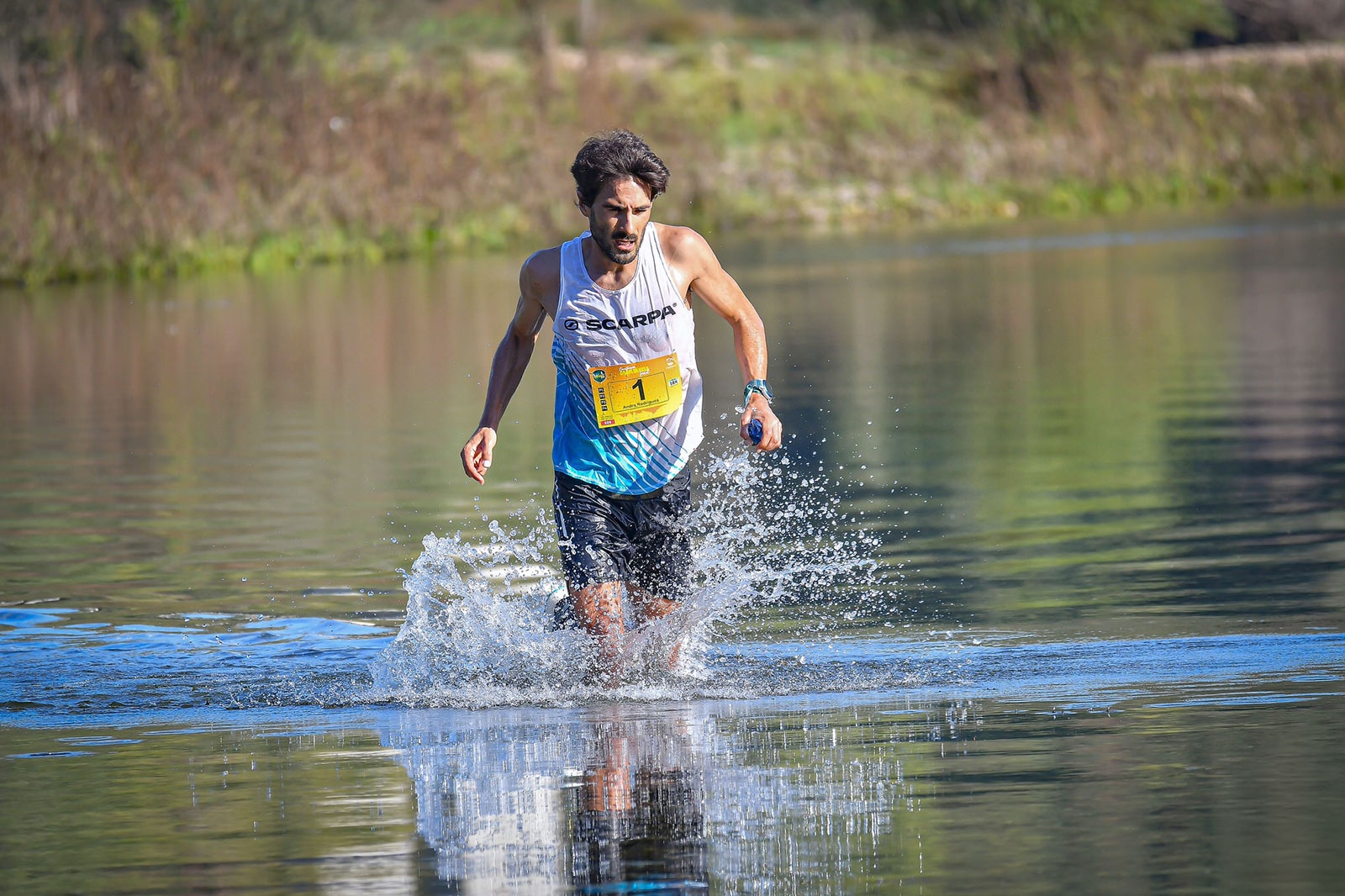 Confluência Trail 2026 image