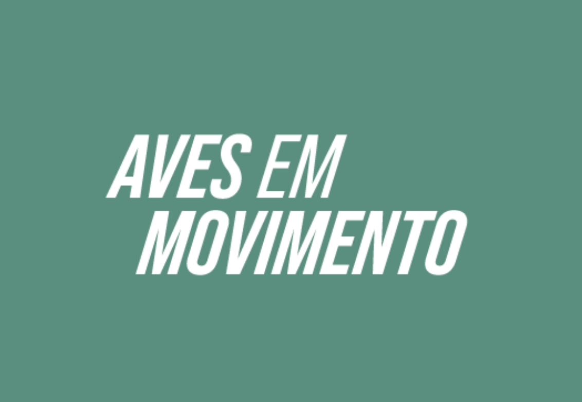 CORRIDA AVES EM MOVIMENTO CASA DOS RECLAMOS 2023 image