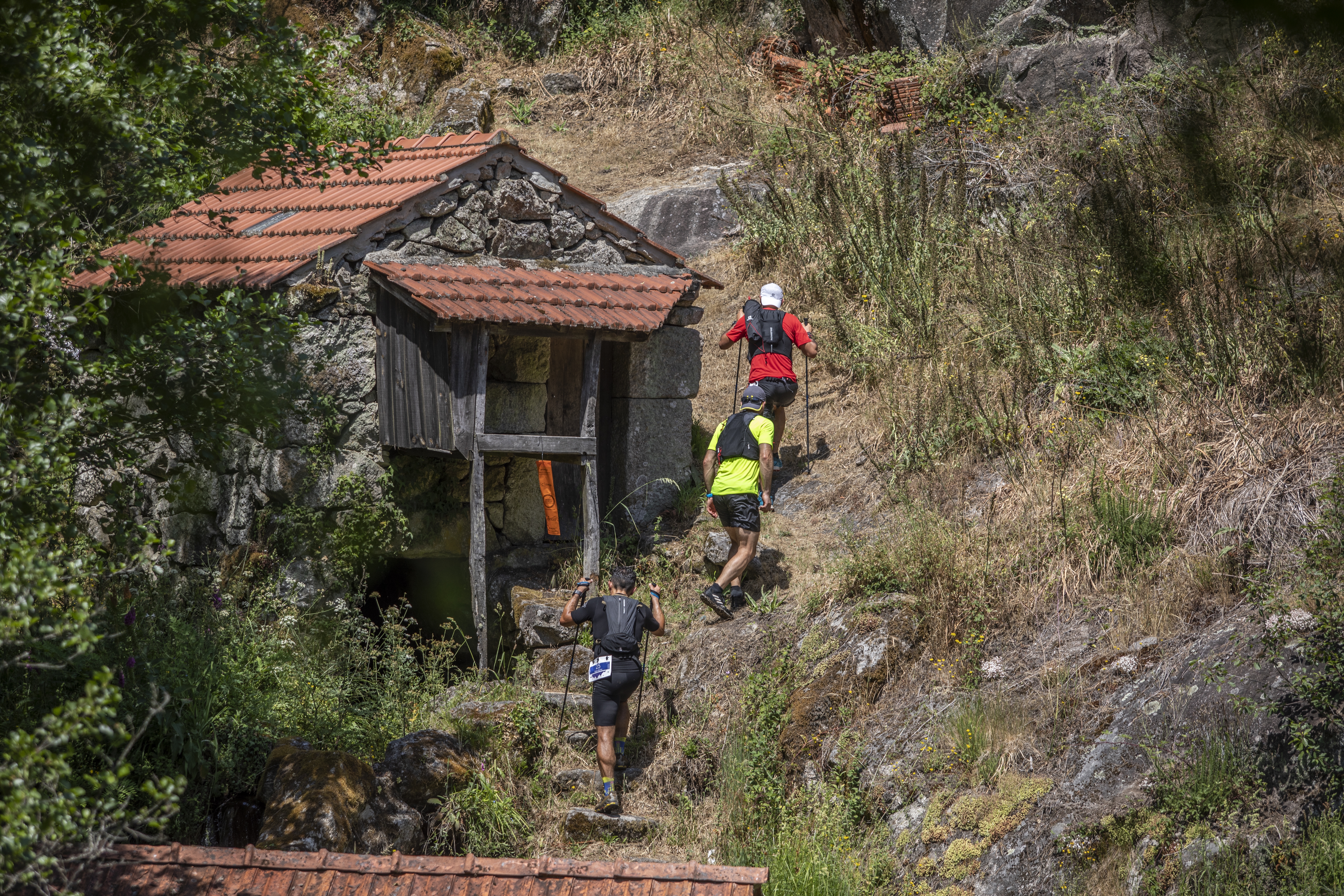 Douro Montemuro Ultra Trilhos 2023 image