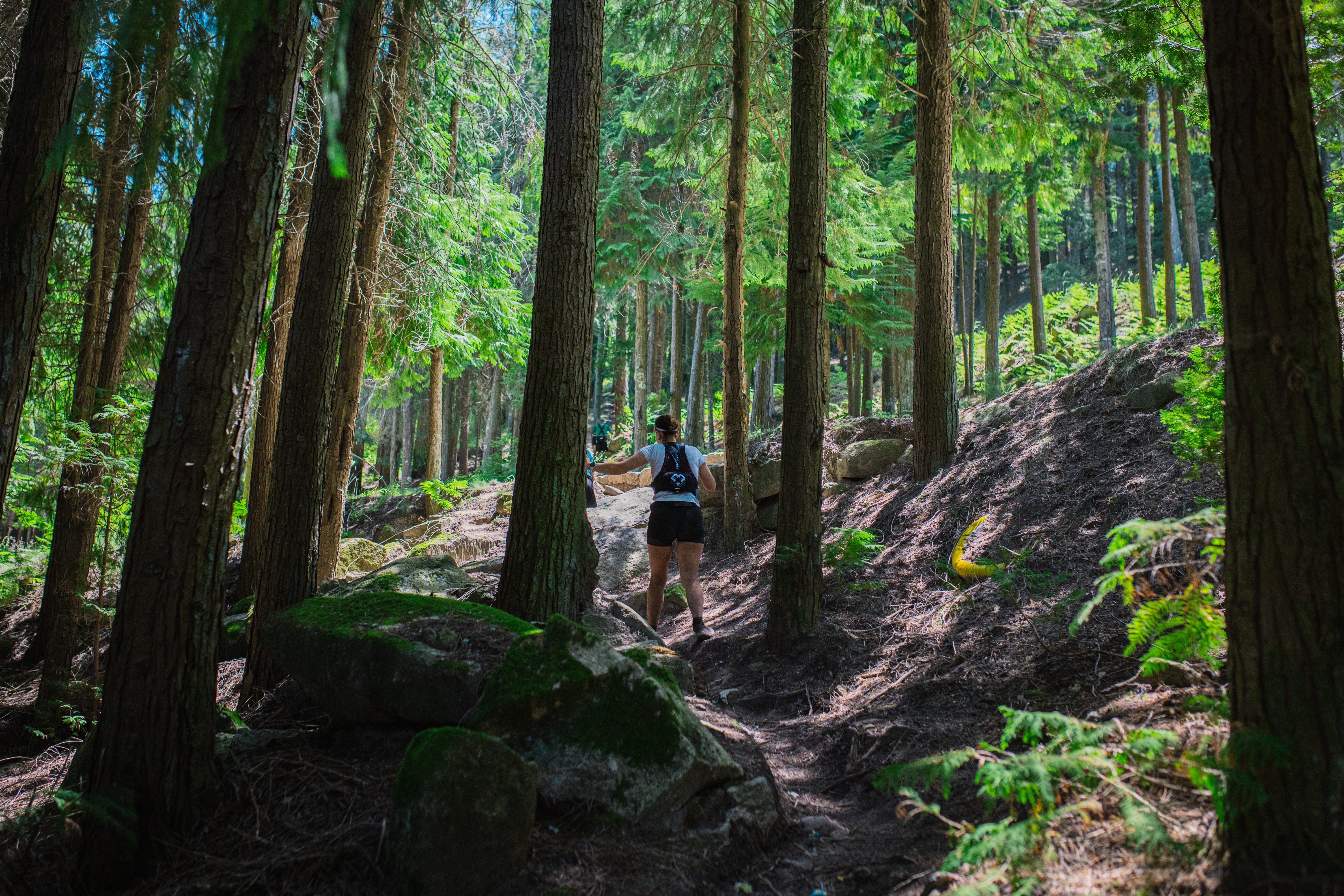Douro Montemuro Ultra Trilhos 2025 image