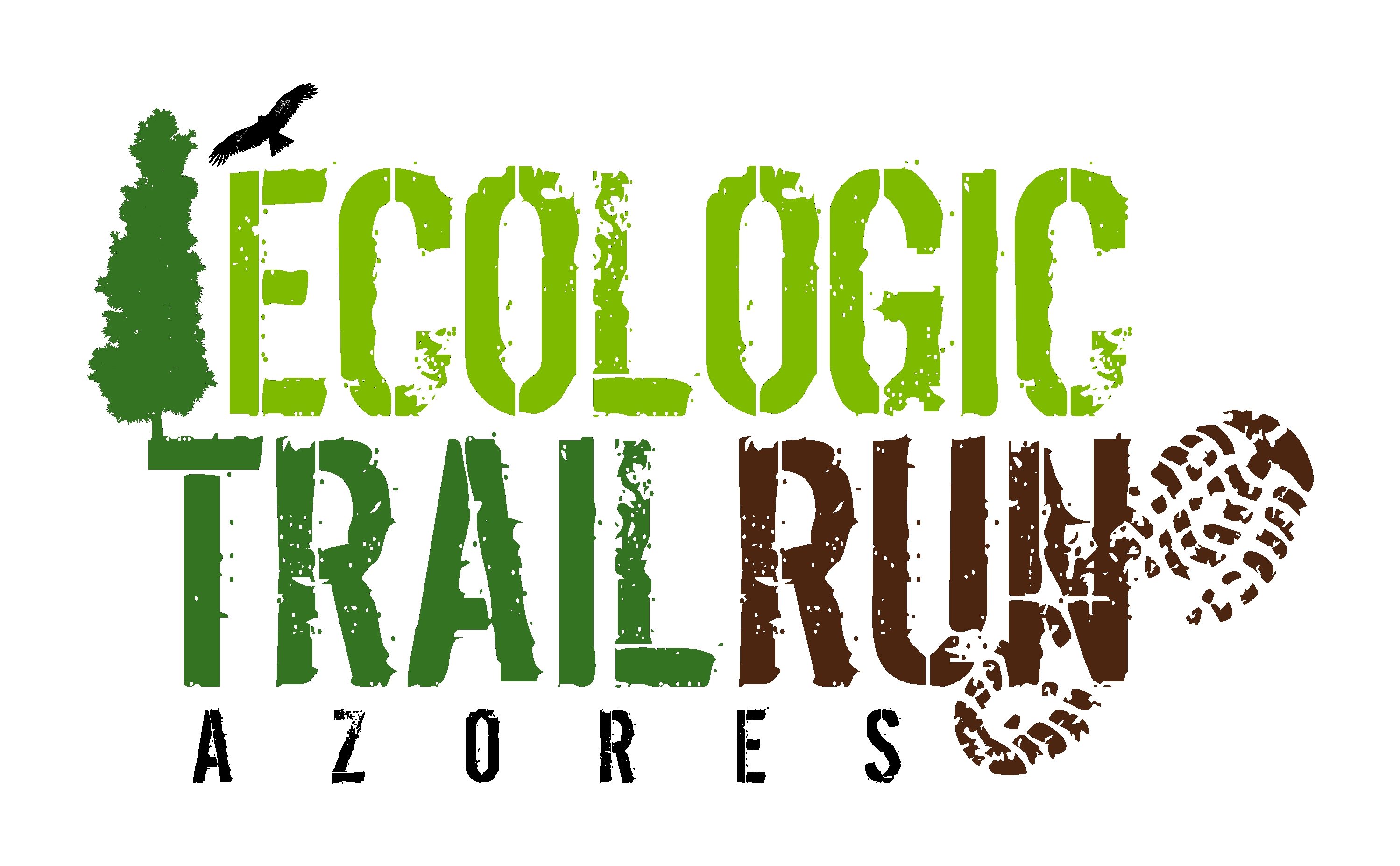 ECOLOGIC TRAIL RUN AZORES 2017 image