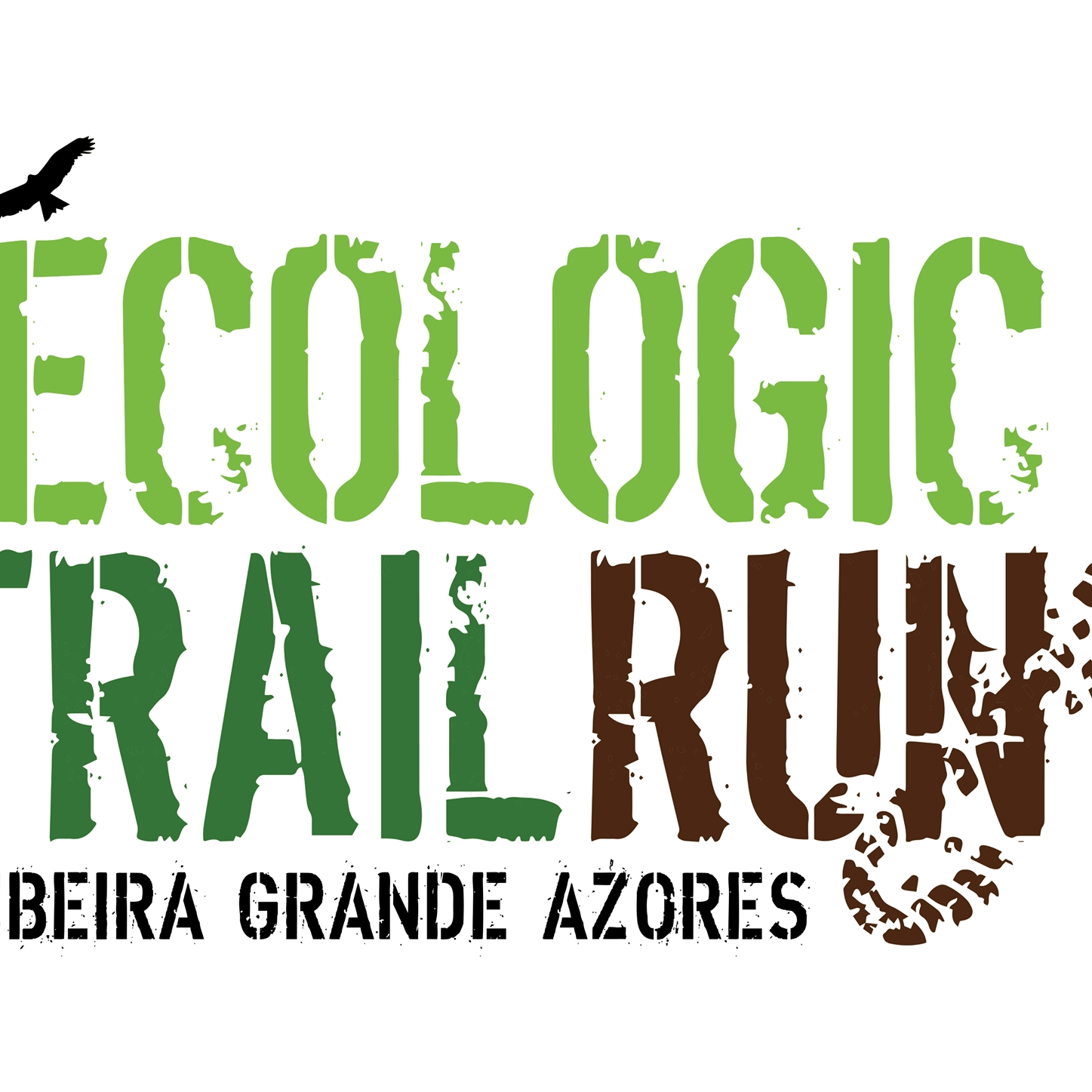 ECOLOGIC AZORES 2019 21KM image