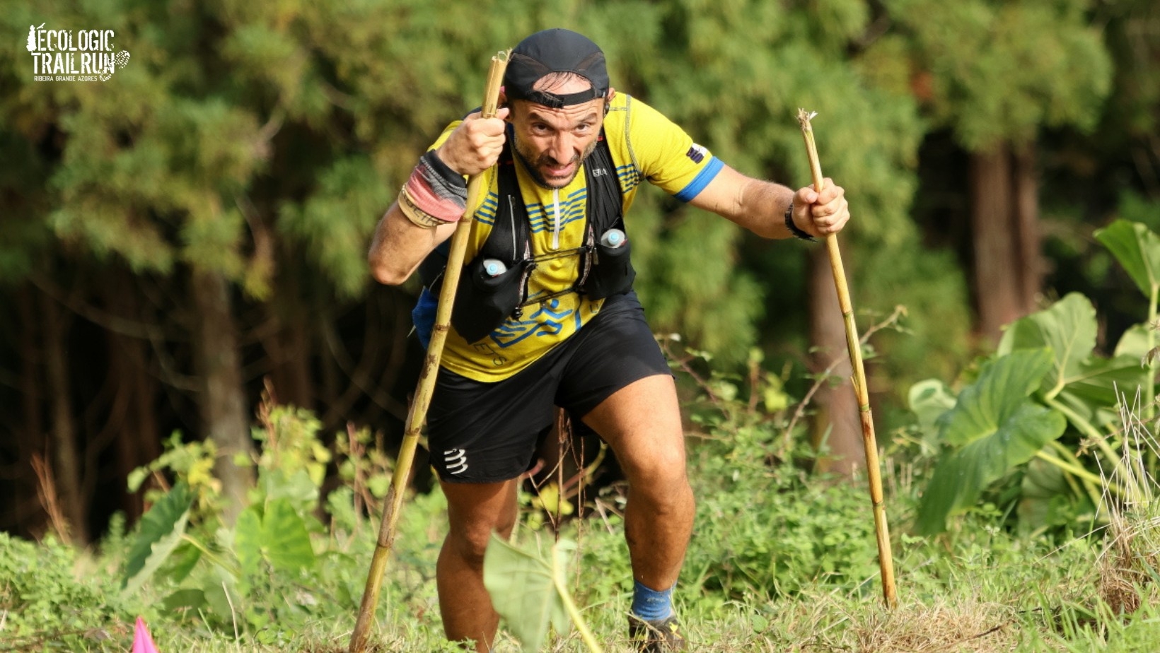 ECOLOGIC TRAIL RUN AZORES 2023 image