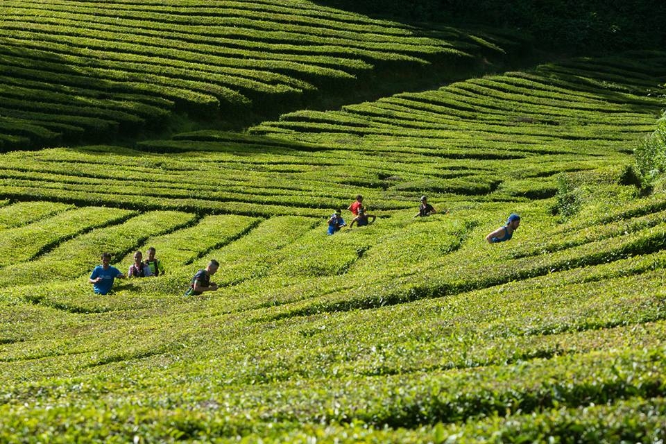 Ecologic Trail Run Azores - Ribeira Grande image