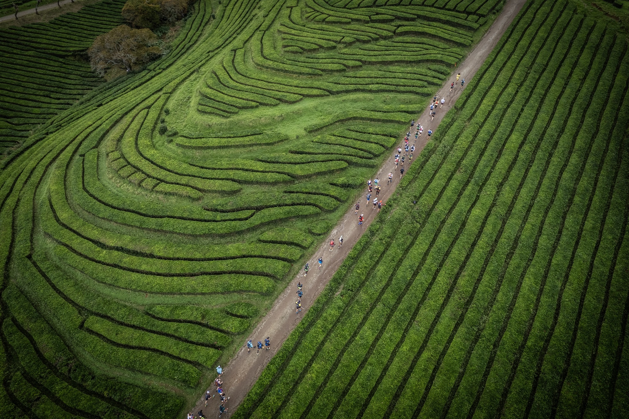 EPIC AZORES 2026 image