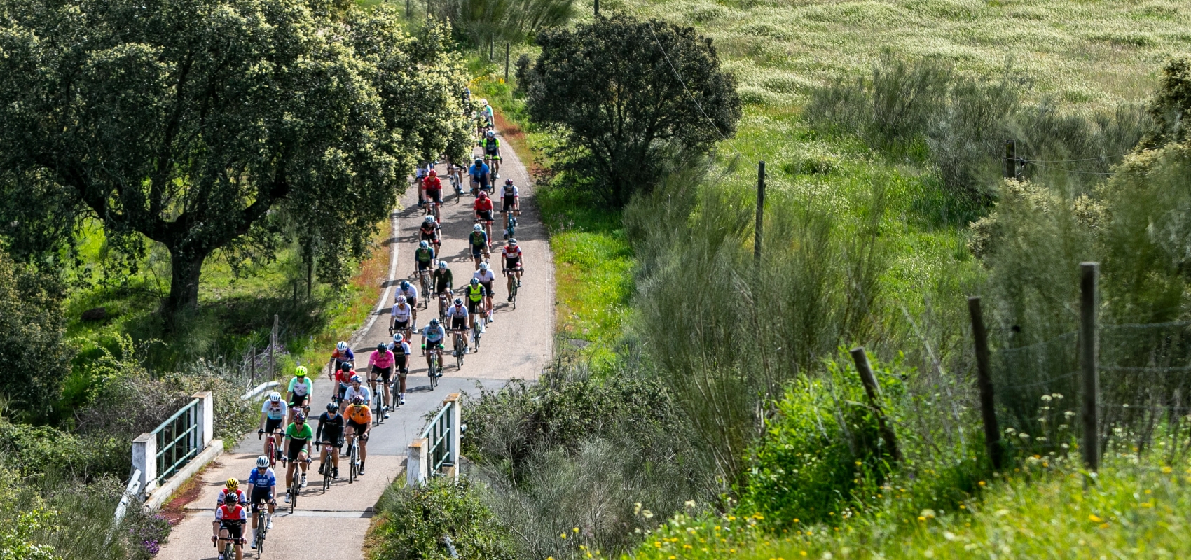 EuroBEC Granfondo 2025 image