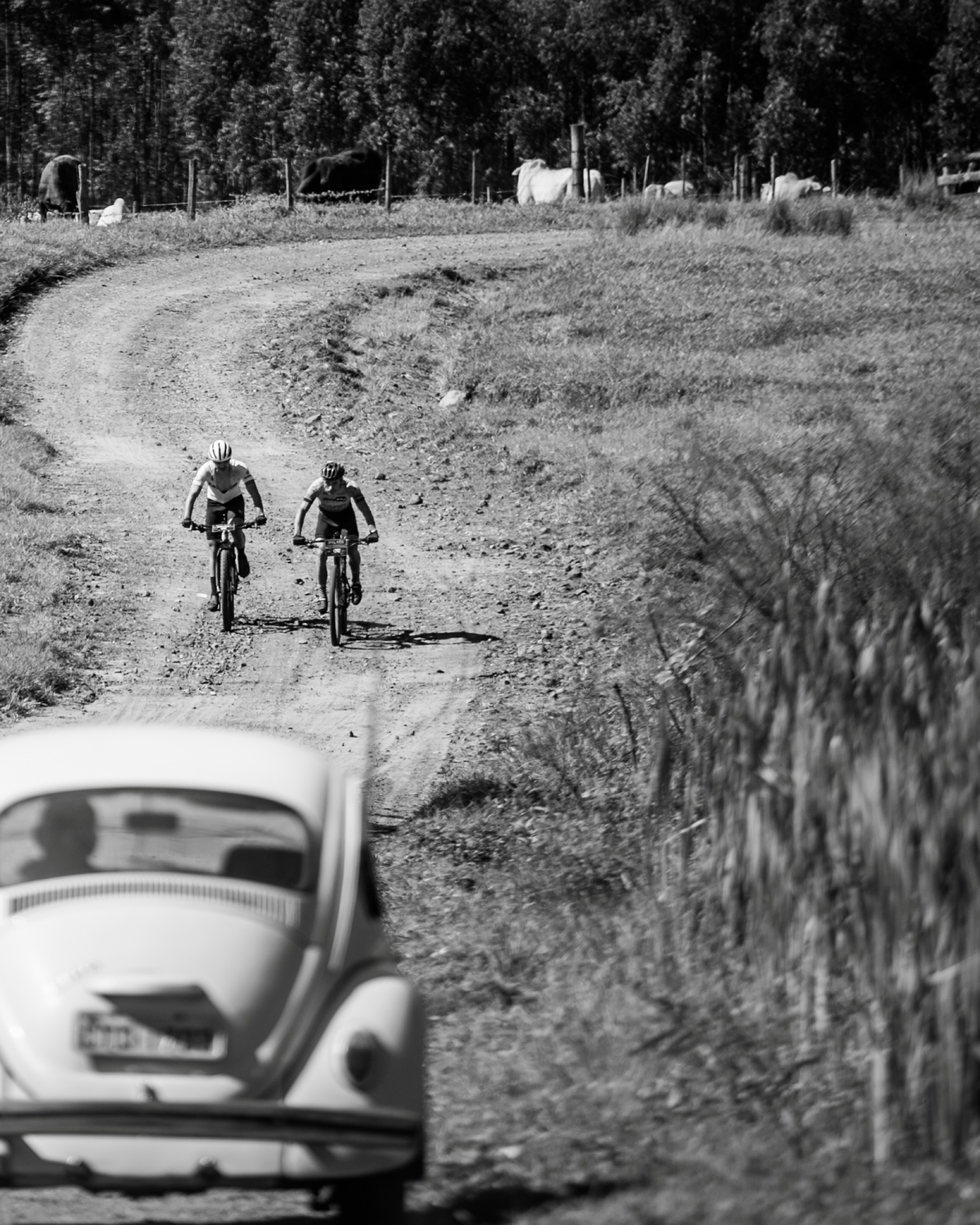 FESTIVAL BRASIL RIDE 2026 image