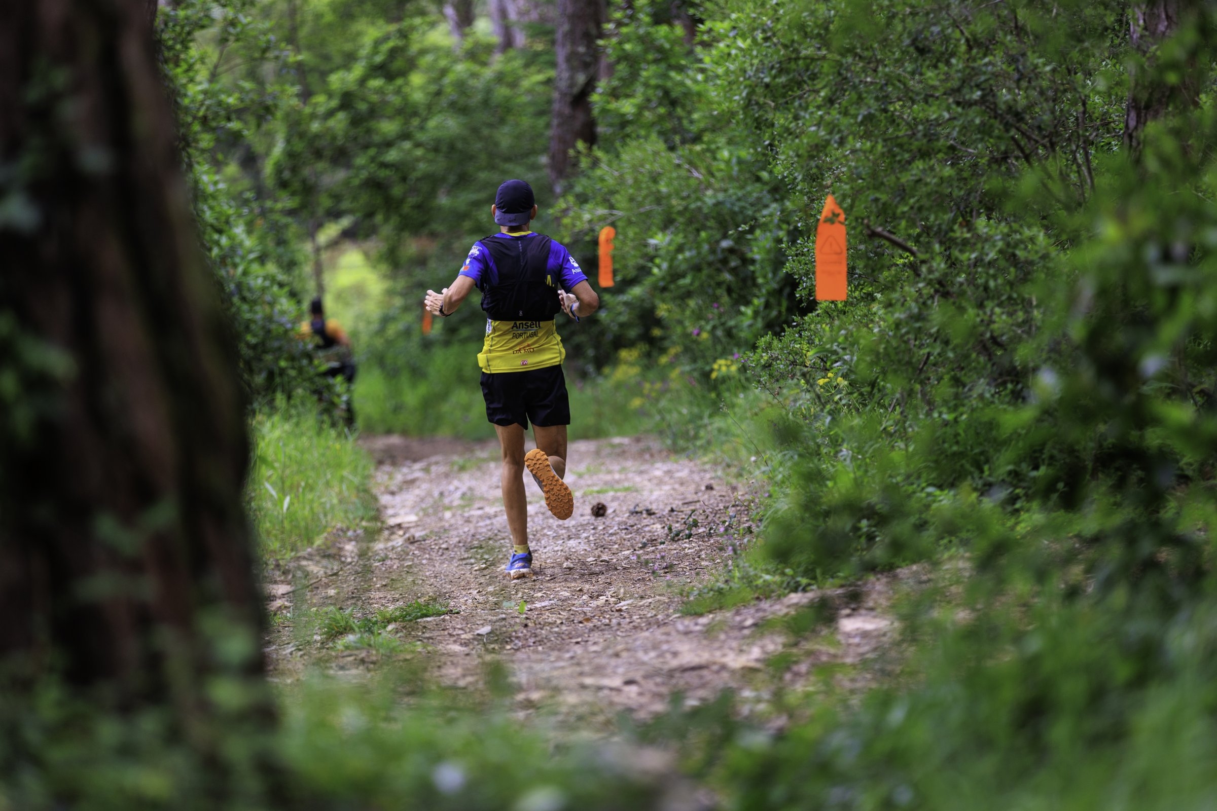 FIGUEIRA ULTRA TRAIL 2026 image