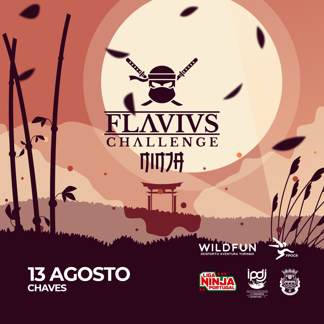 Flavius Challenge OCR – Ninja image