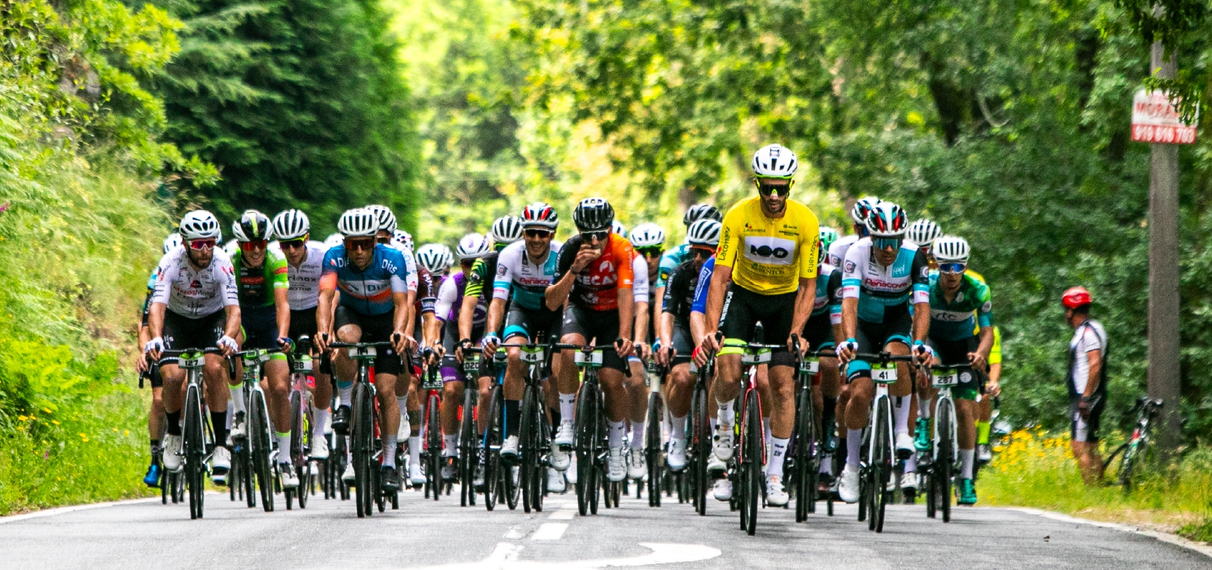 Gerês Granfondo 2026 image