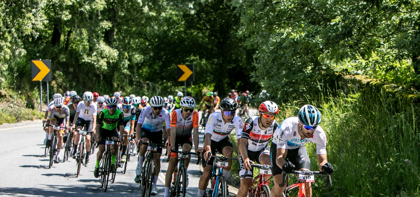 Gerês Granfondo 2024 image