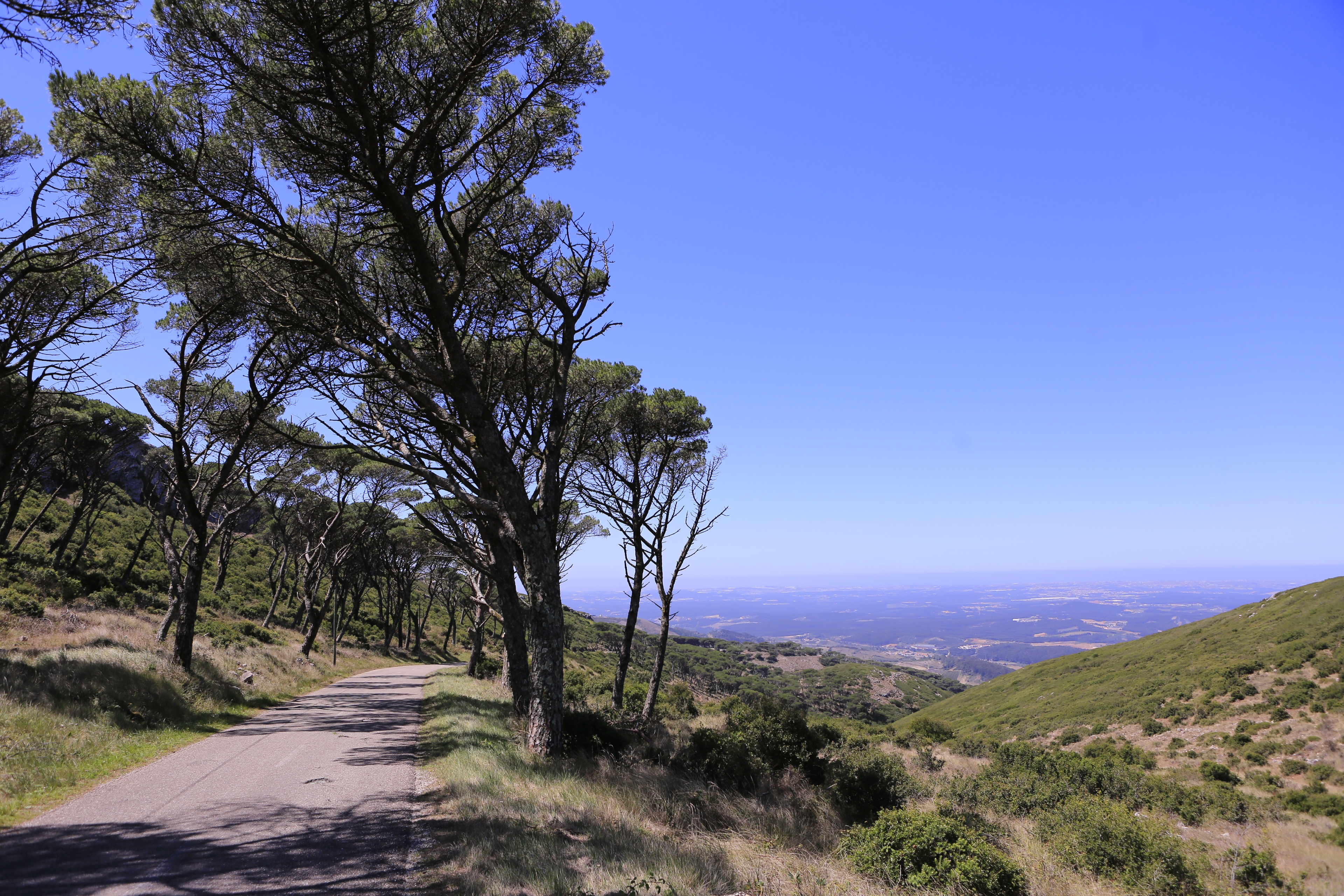 Granfondo Torres Vedras 2021 image