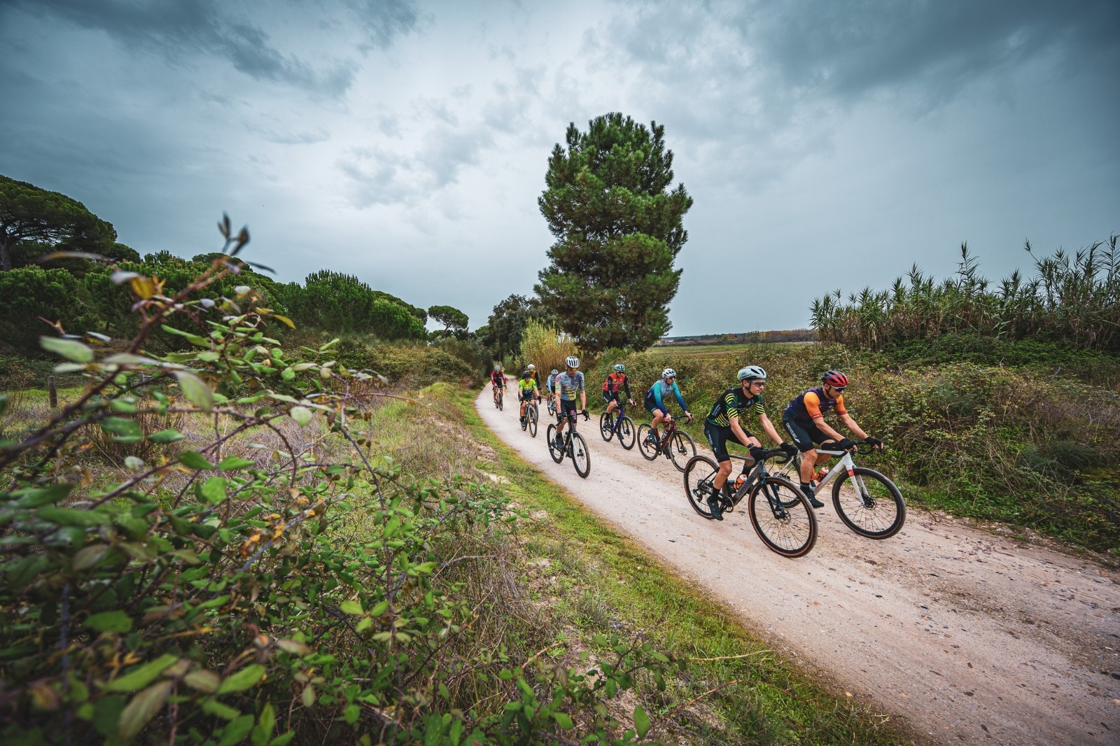 GRAVEL MONTIJO 2026 image