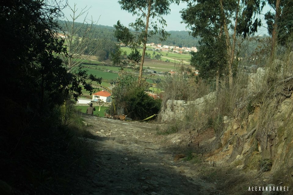 III TRAIL “Este Românico” image