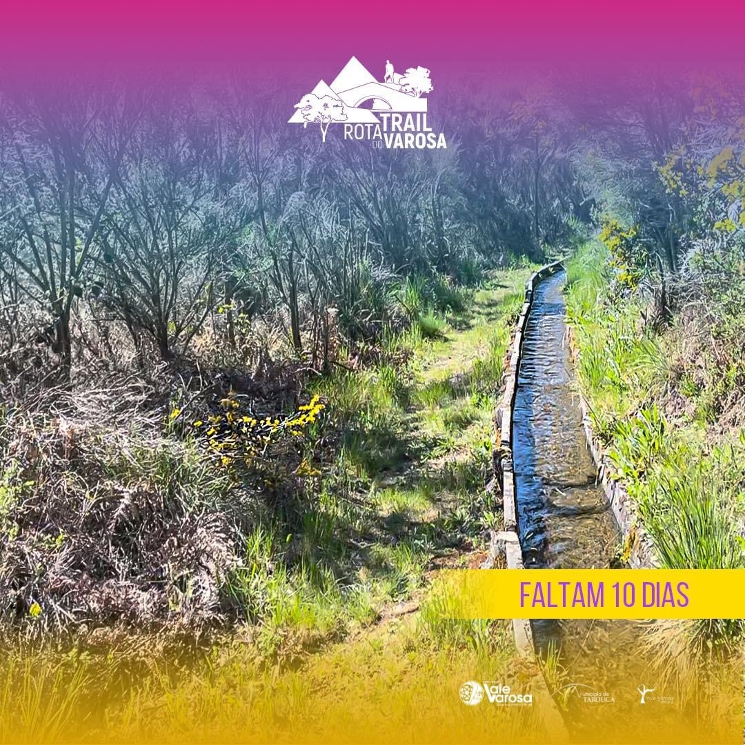 IV Trail Rota do Varosa image